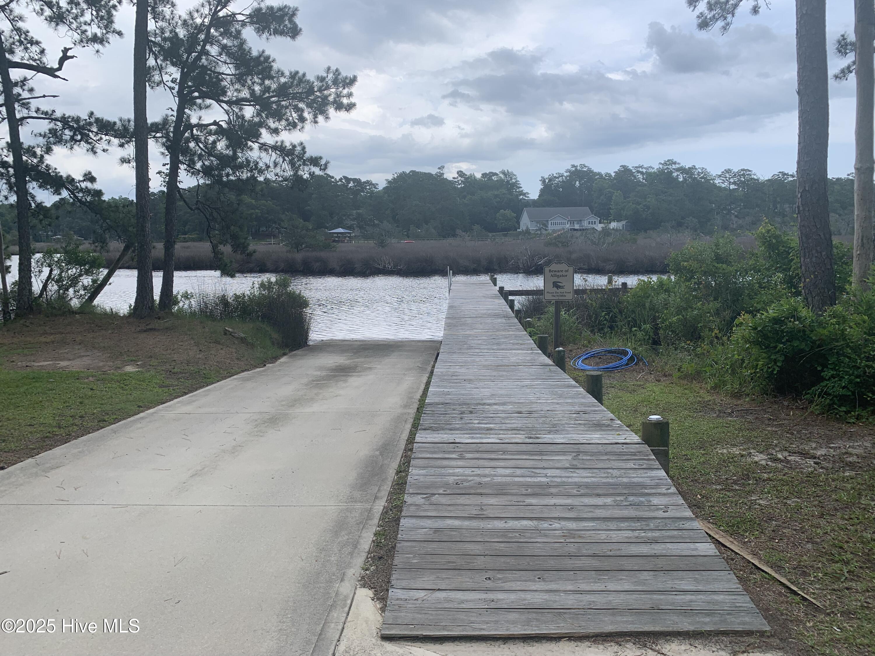 216 Alderman Landing Property Photo 17