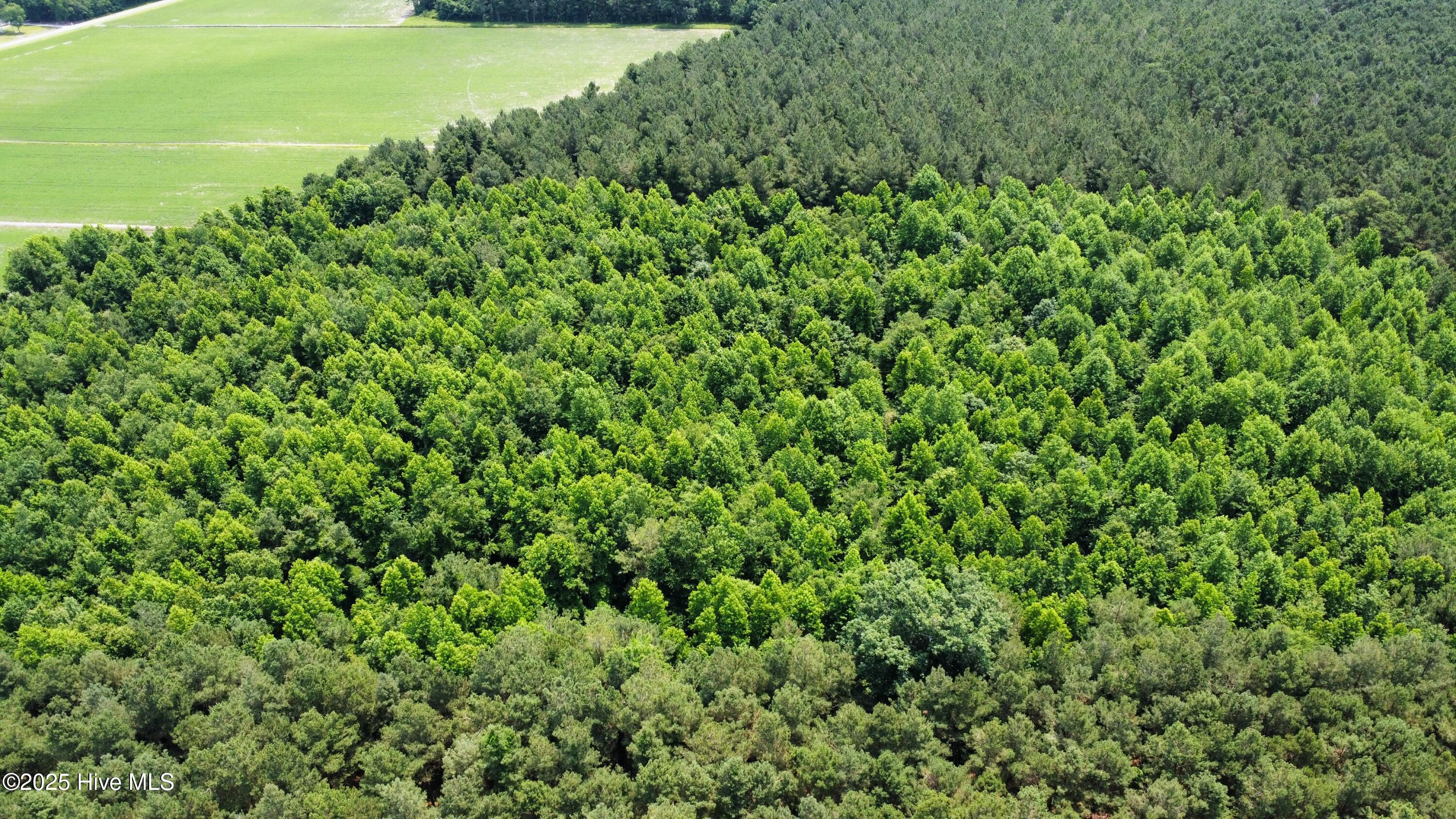 Off Sr 1337 Property Photo 8