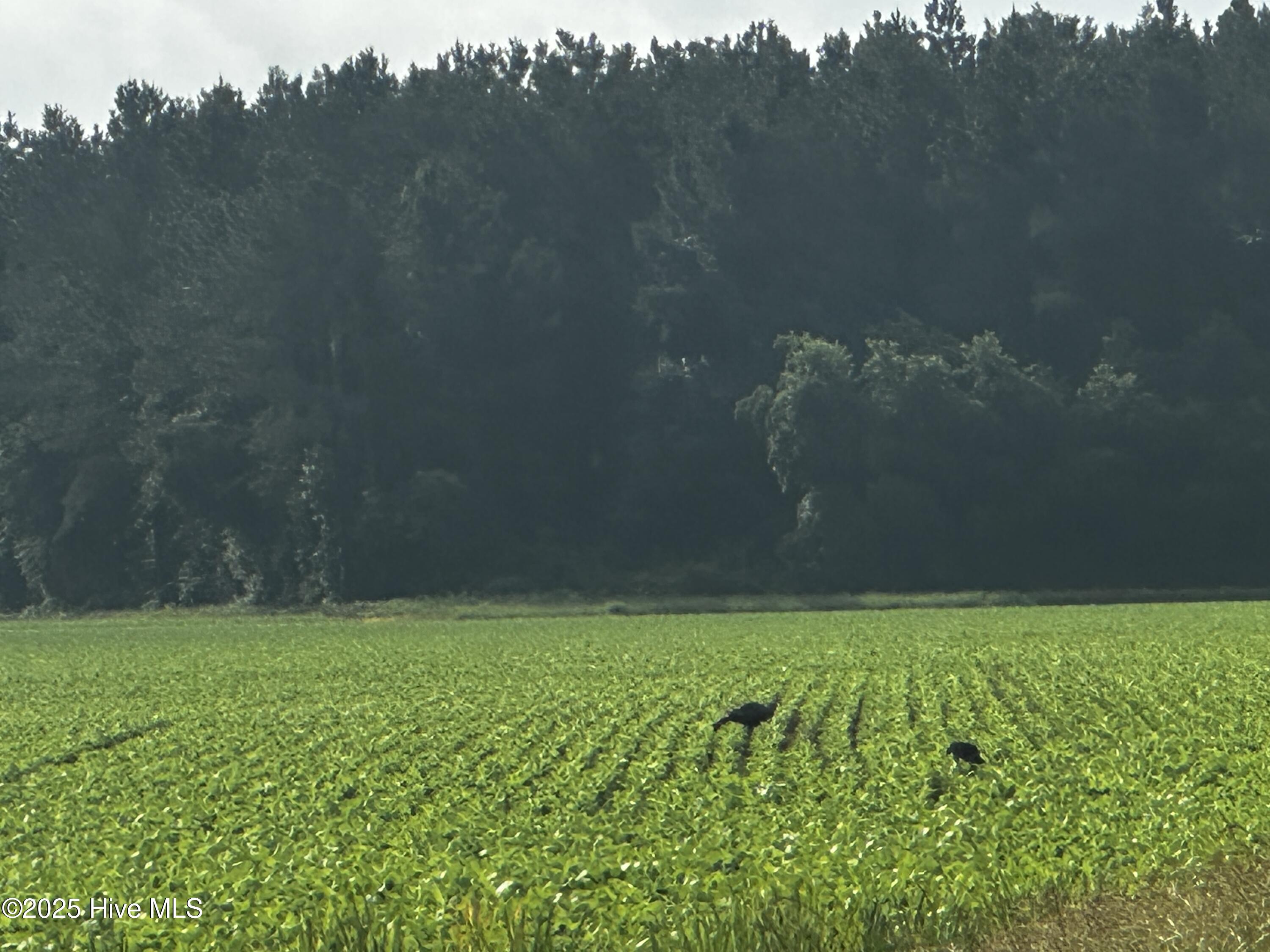 Off Sr 1337 Property Photo 12