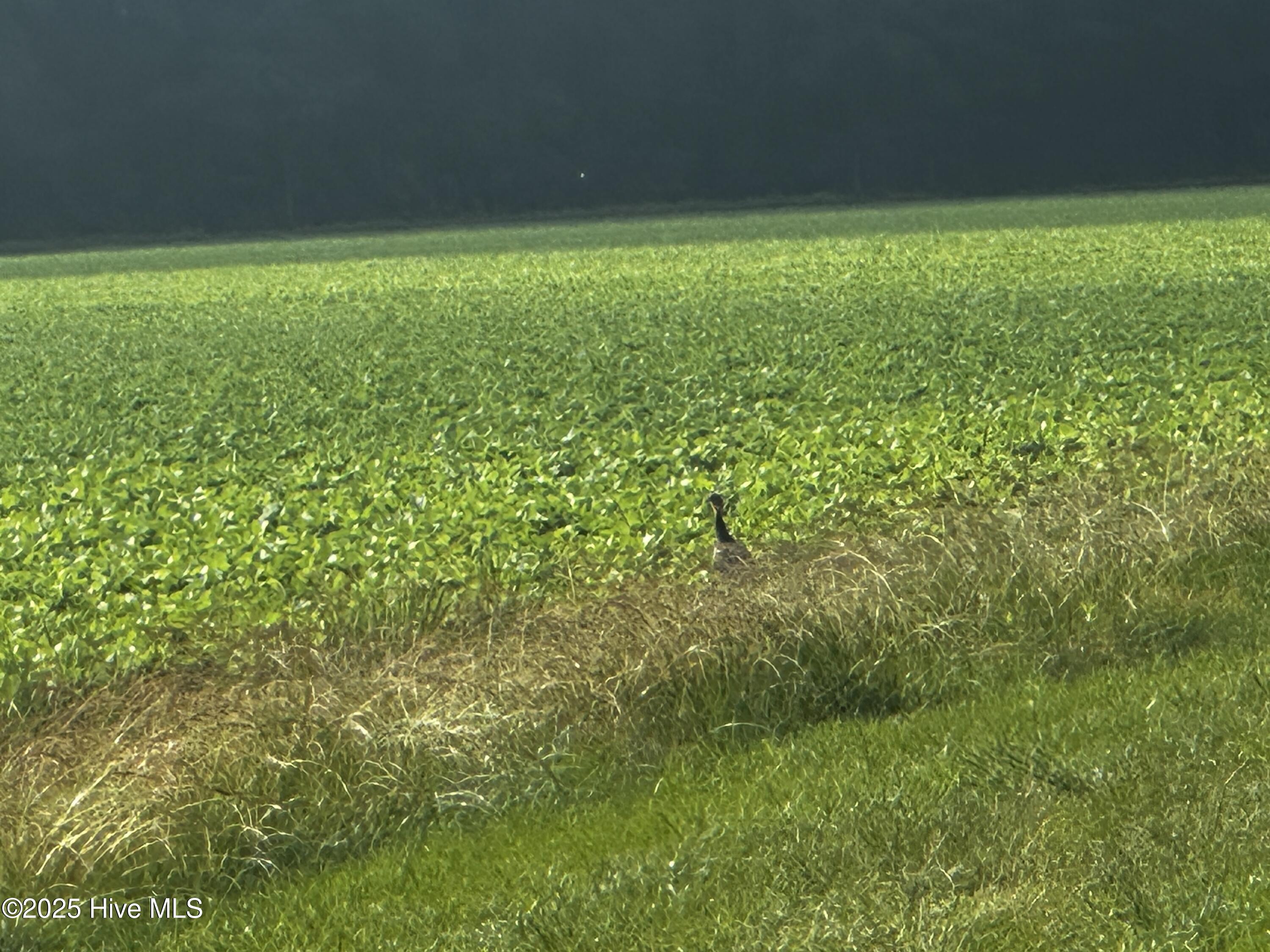 Off Sr 1337 Property Photo 13