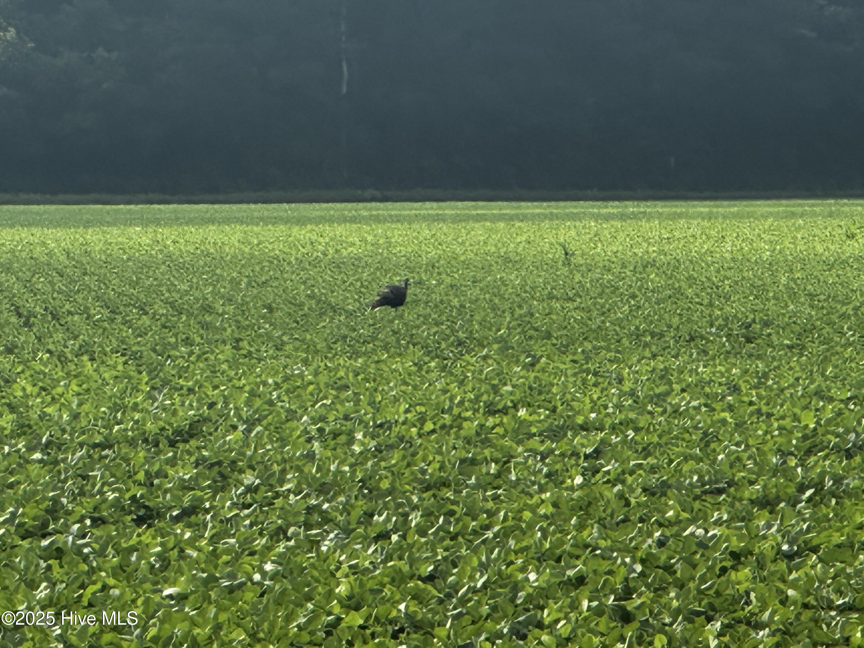 Off Sr 1337 Property Photo 14