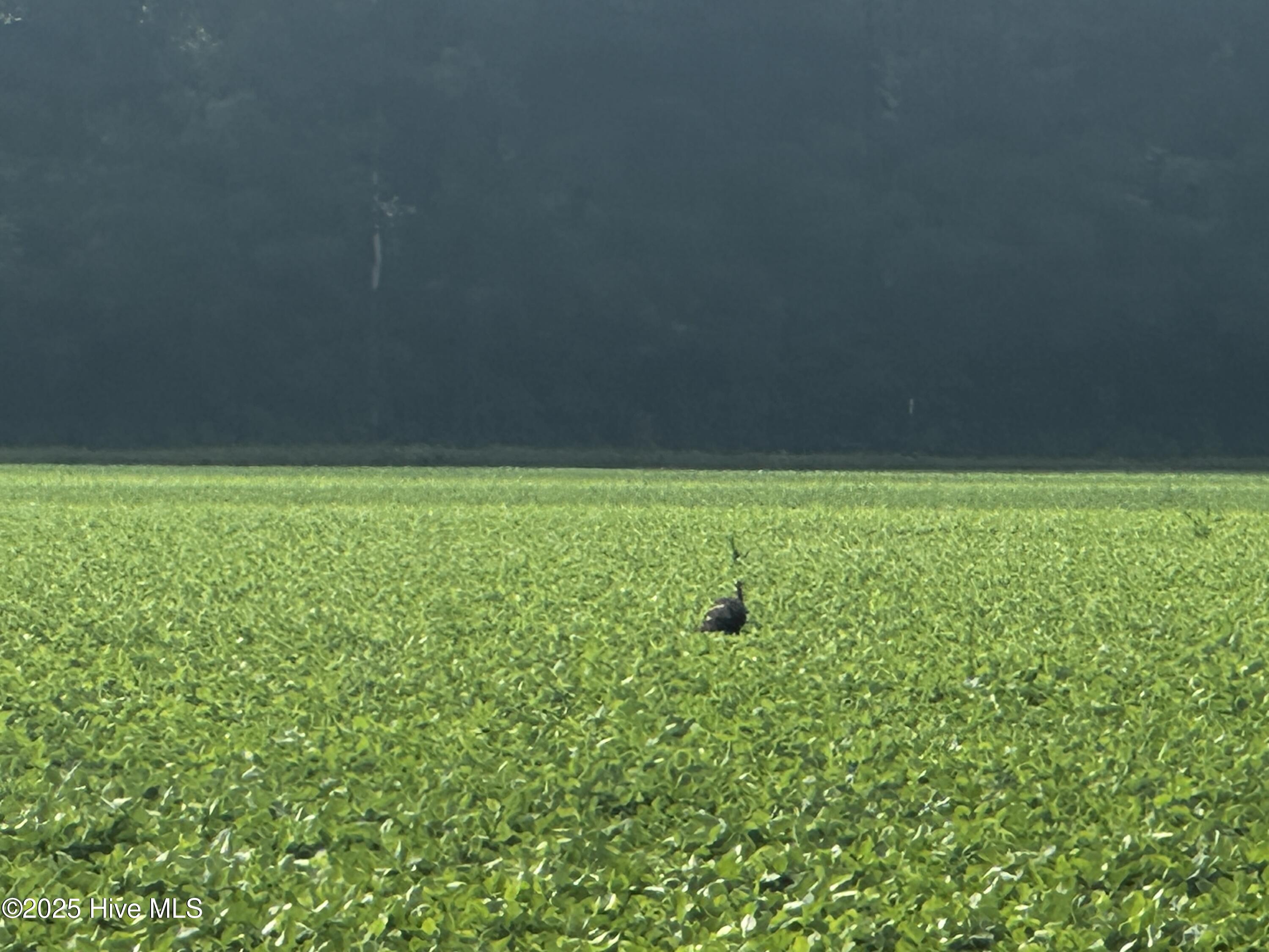 Off Sr 1337 Property Photo 15