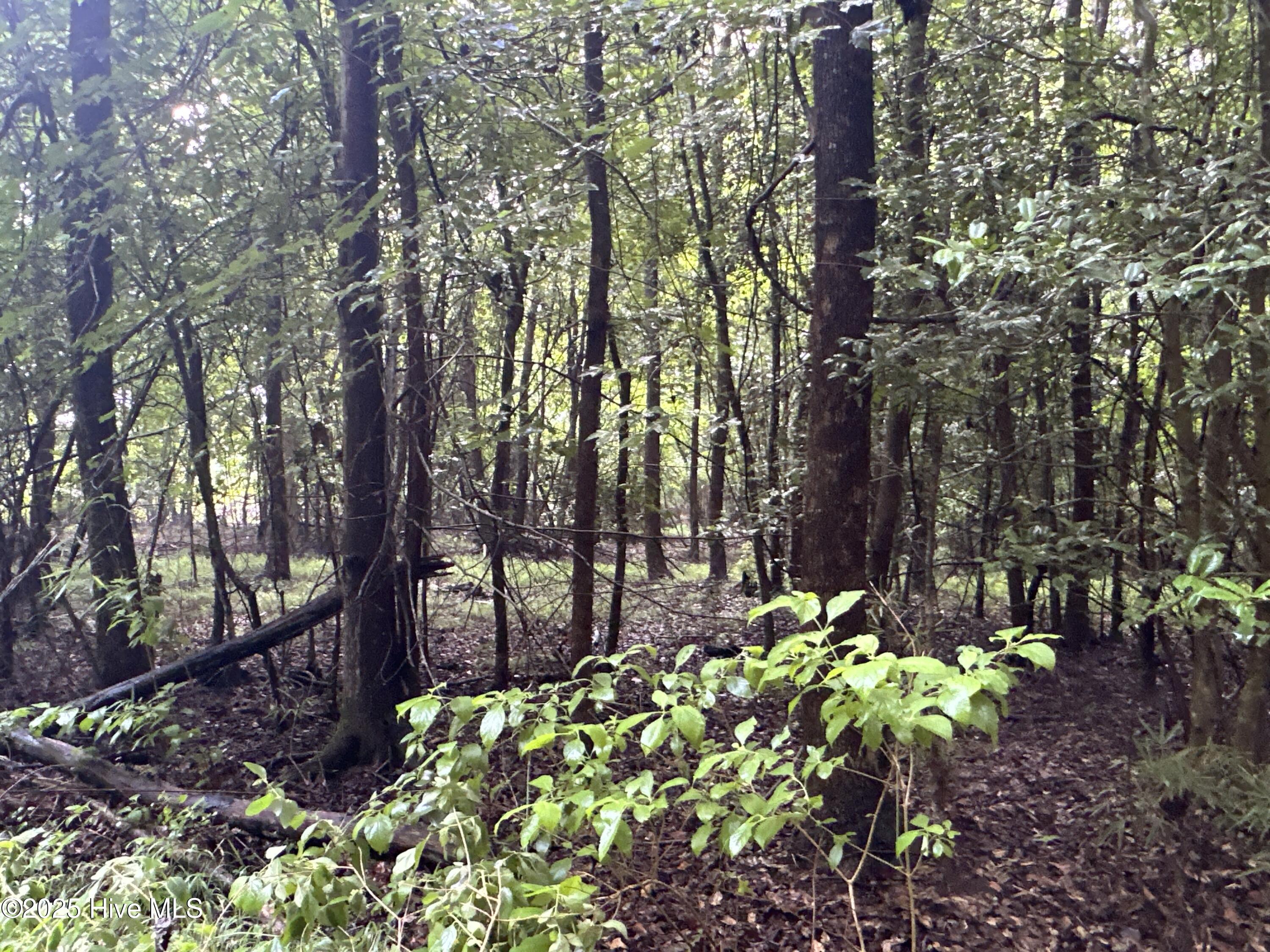 Off Sr 1337 Property Photo 16