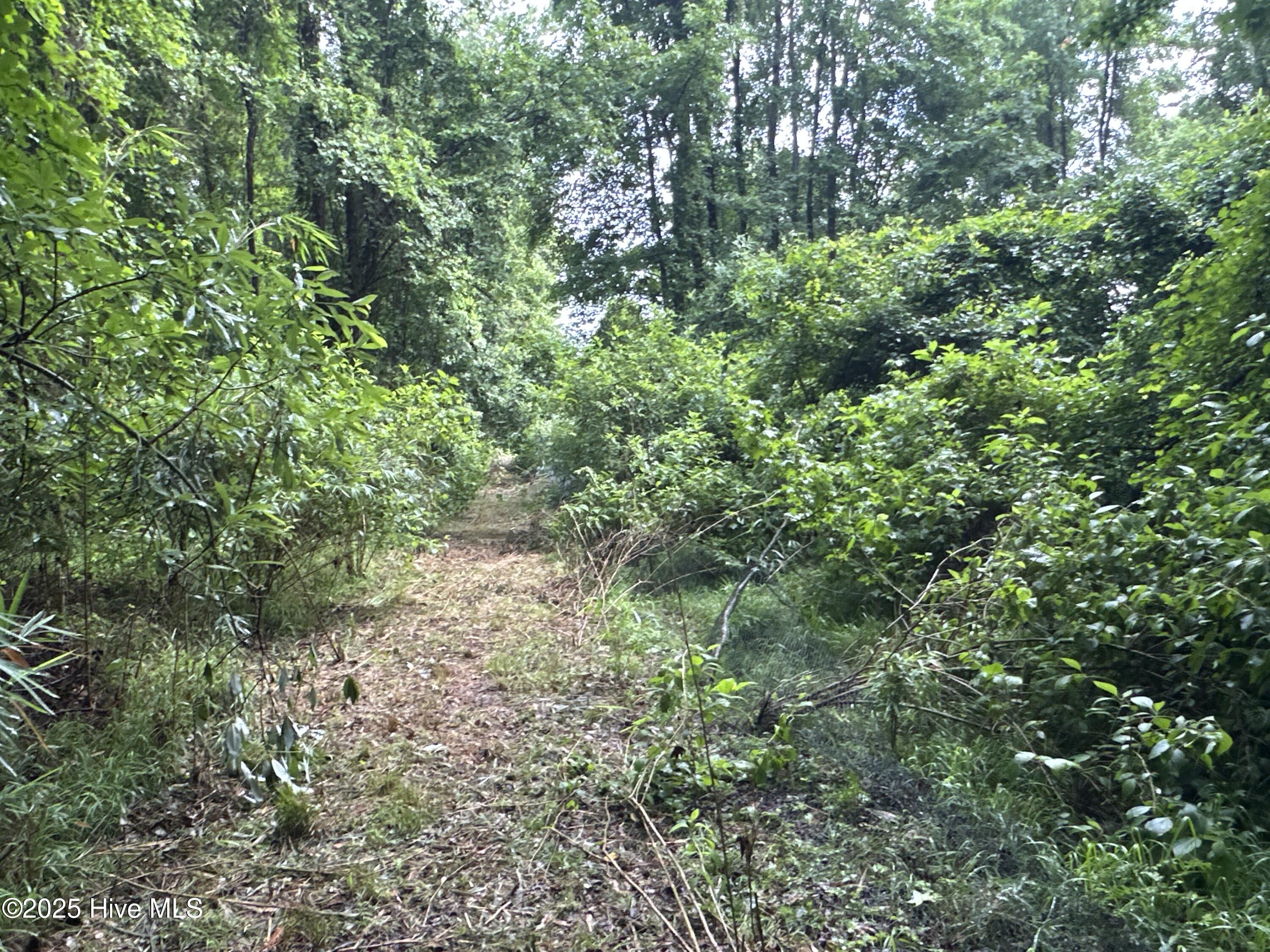 Off Sr 1337 Property Photo 17