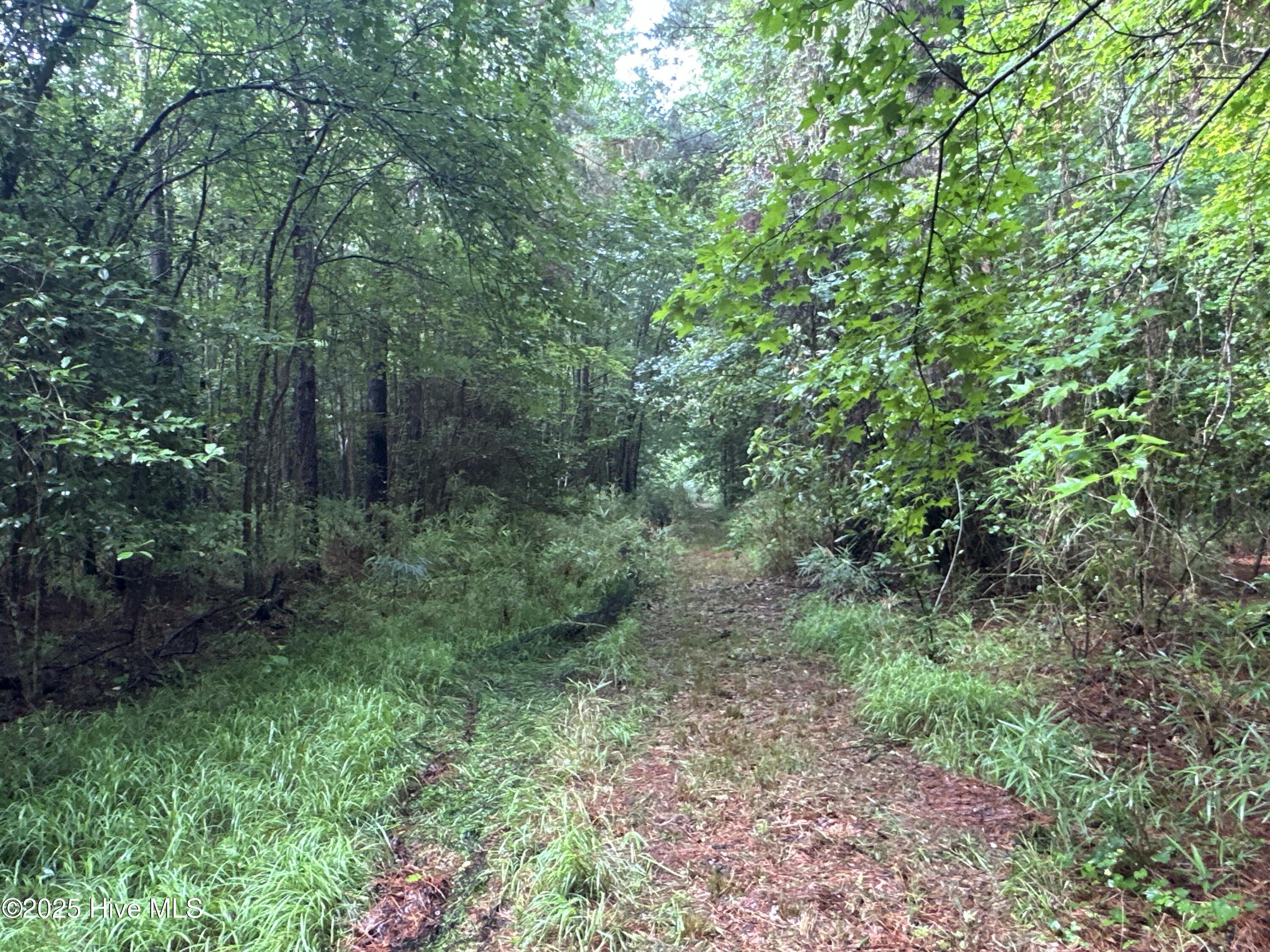 Off Sr 1337 Property Photo 18