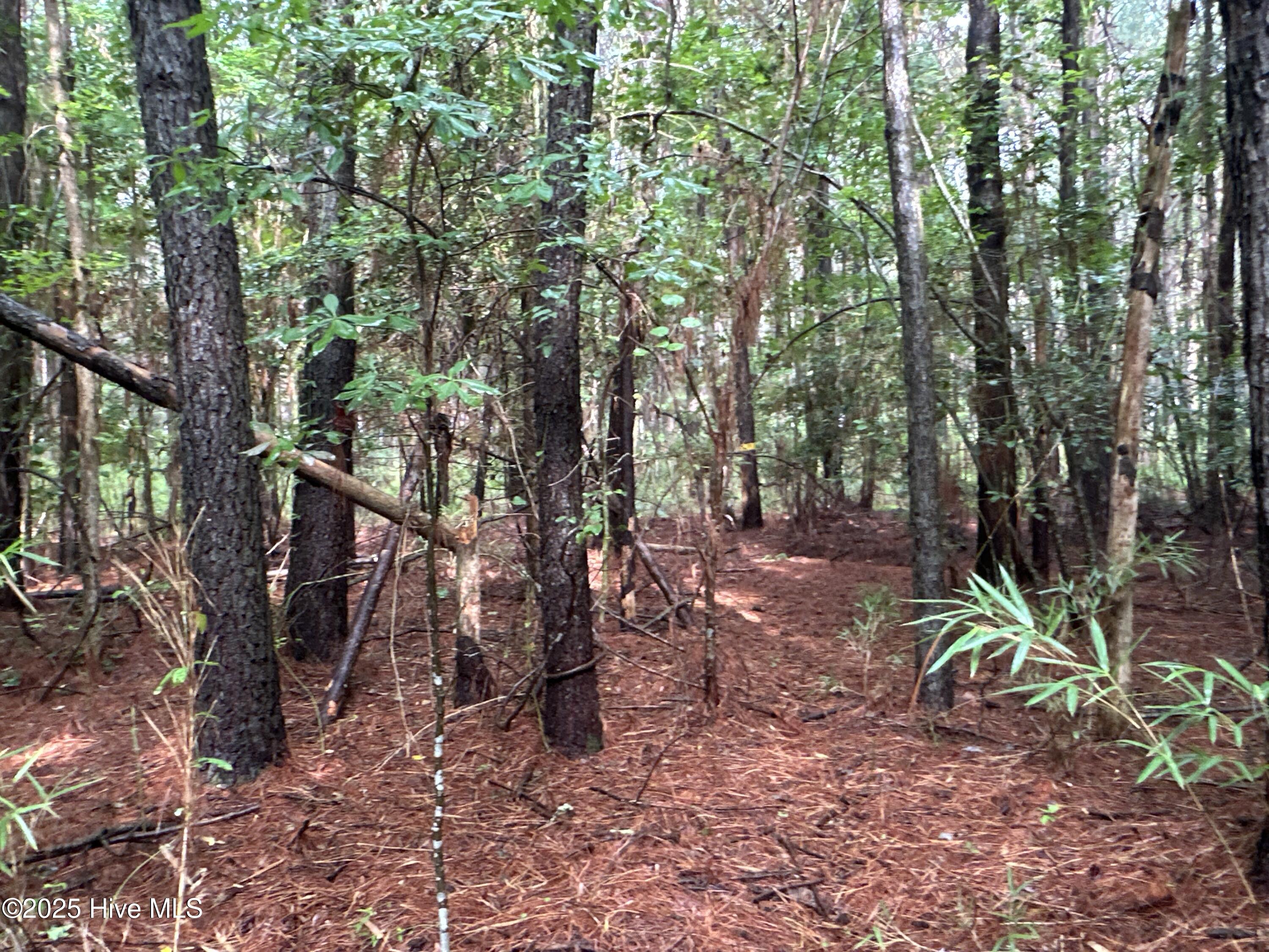 Off Sr 1337 Property Photo 19