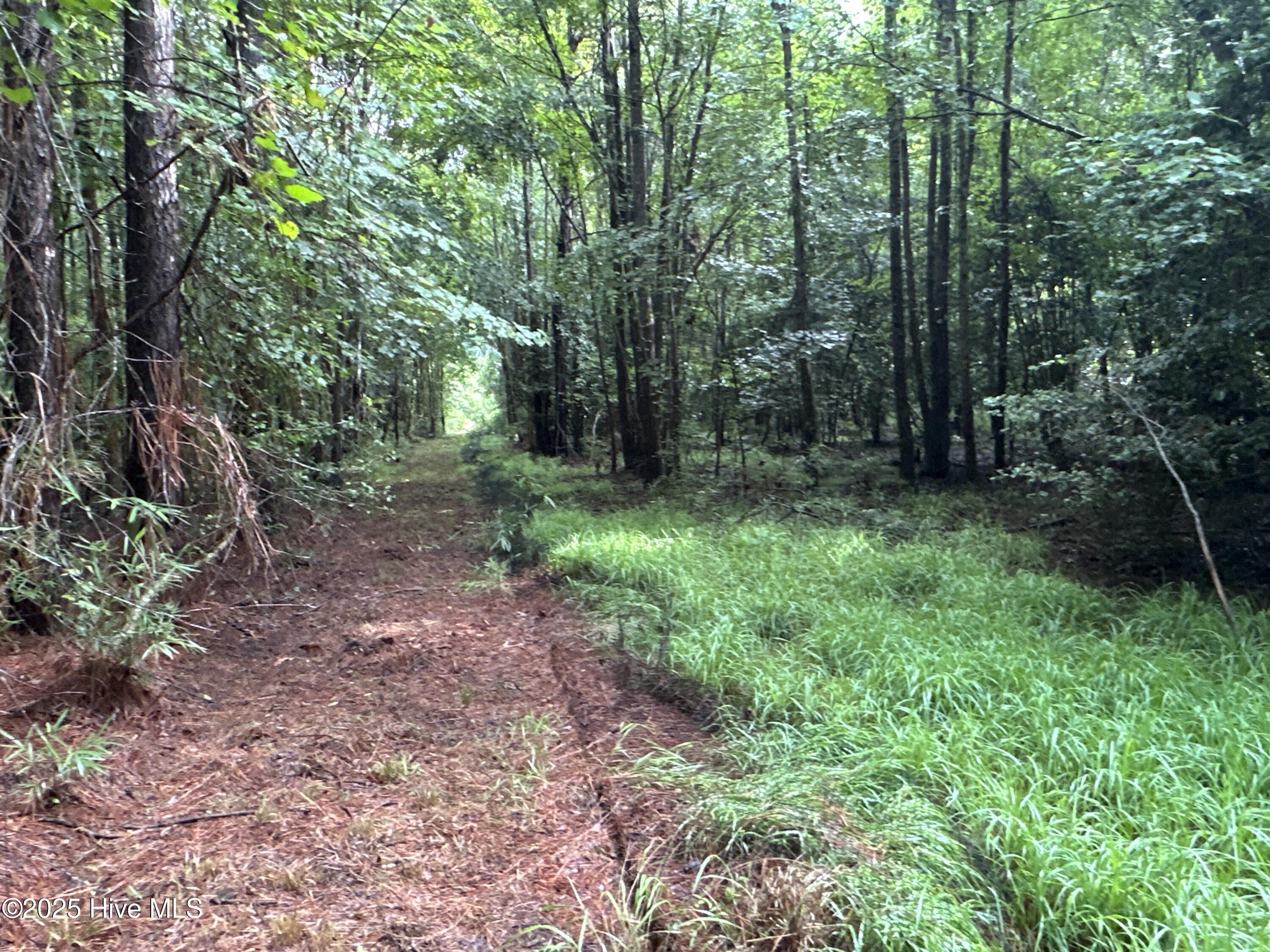 Off Sr 1337 Property Photo 20