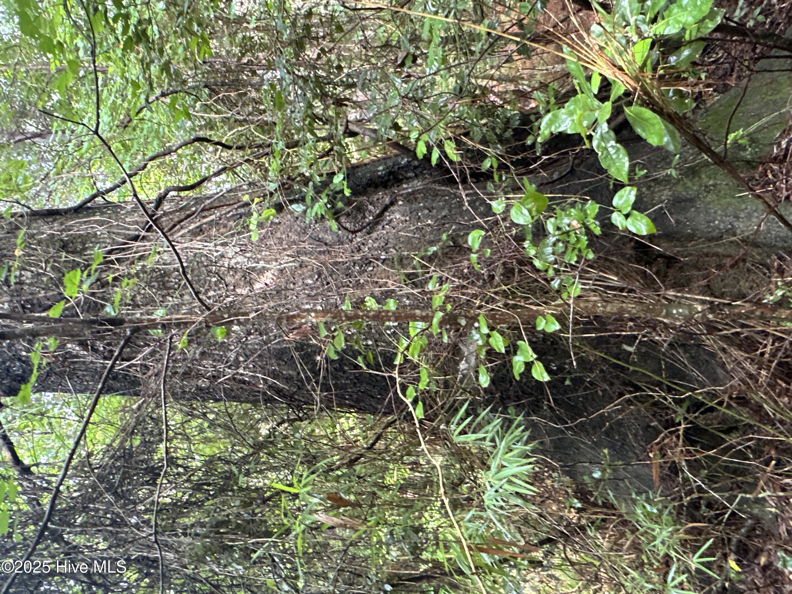 Off Sr 1337 Property Photo 22