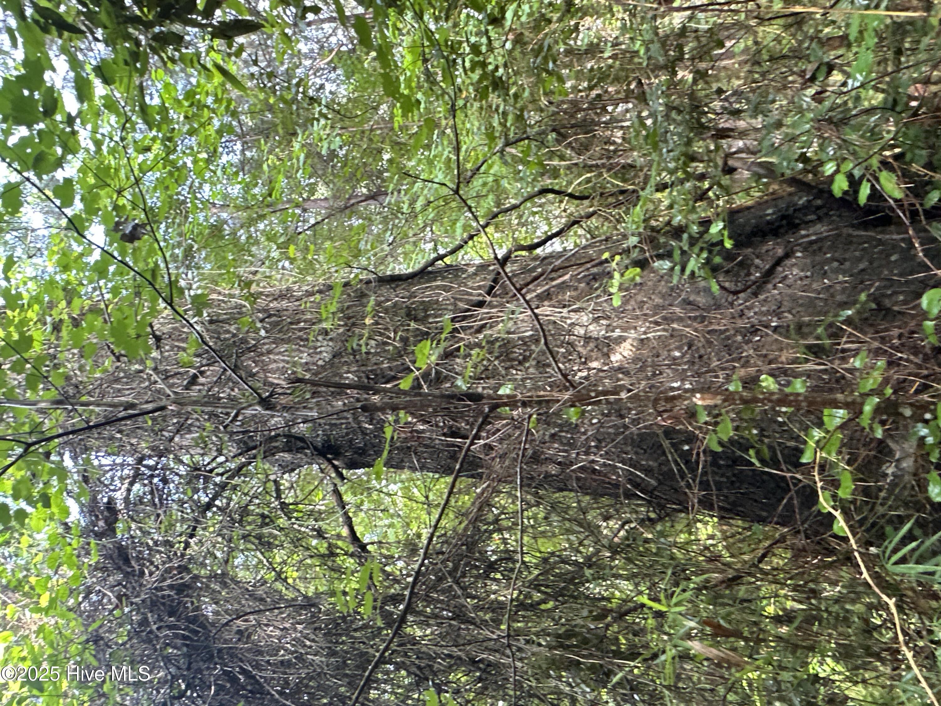 Off Sr 1337 Property Photo 23