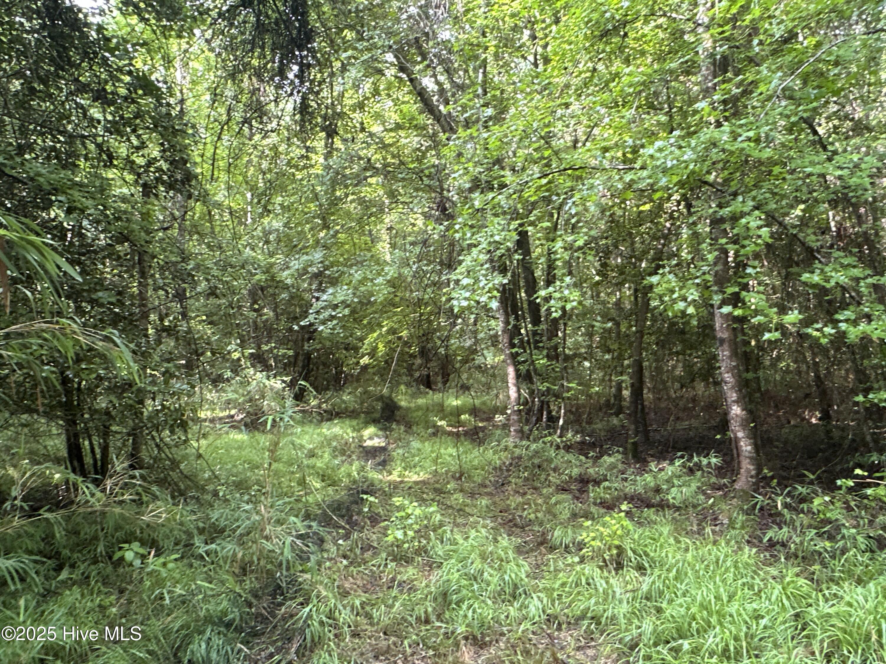 Off Sr 1337 Property Photo 24