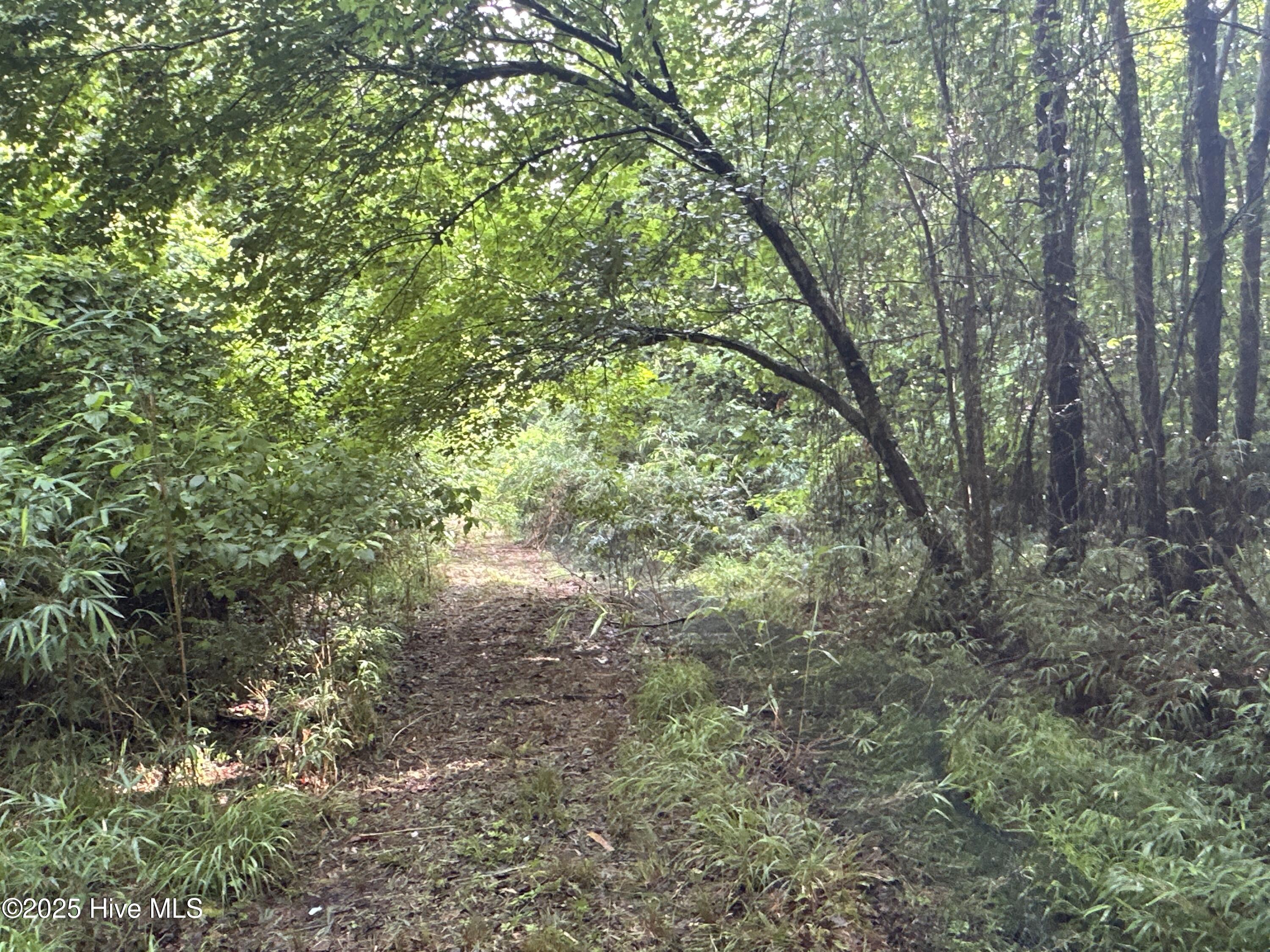 Off Sr 1337 Property Photo 25