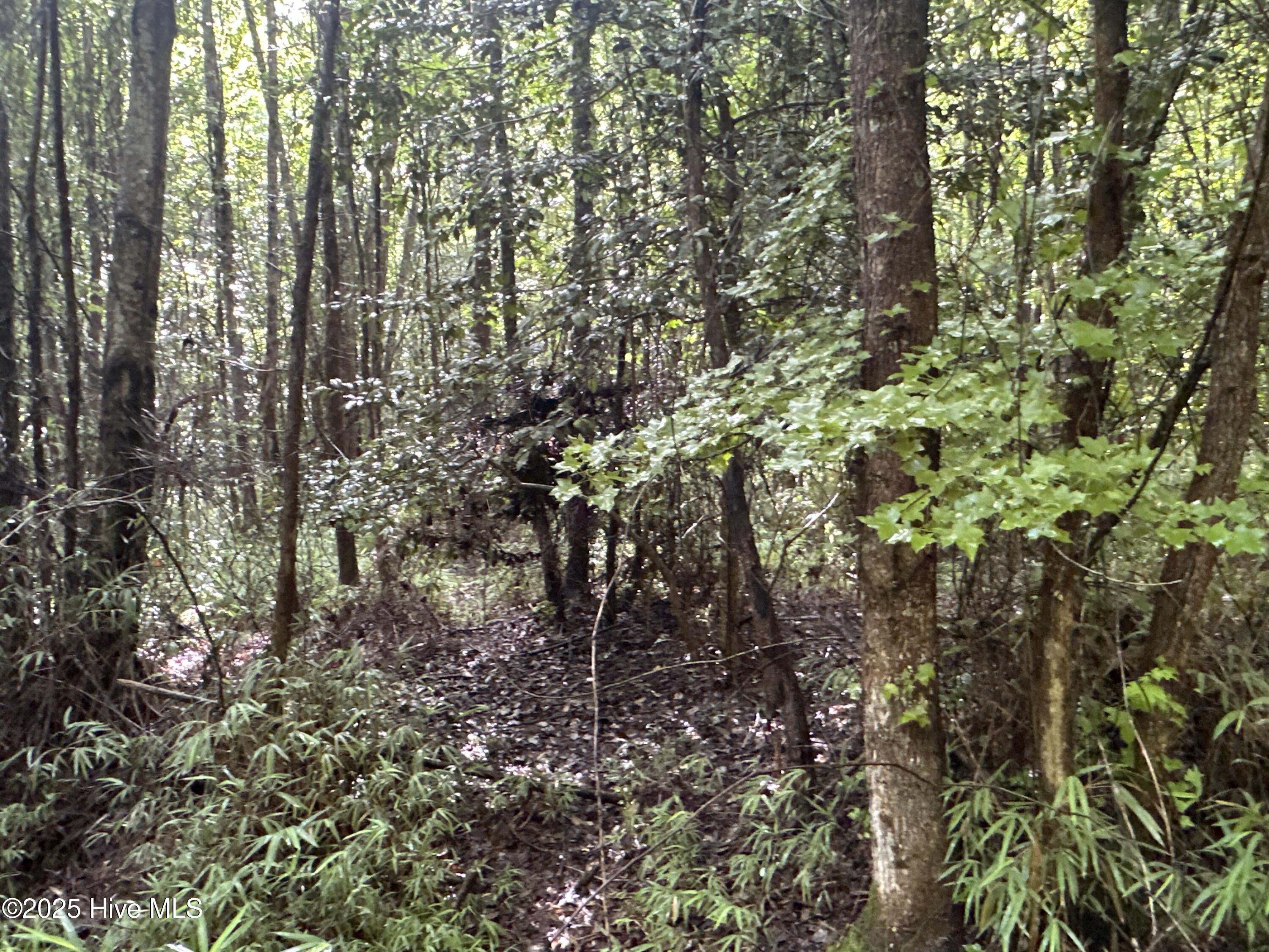 Off Sr 1337 Property Photo 26