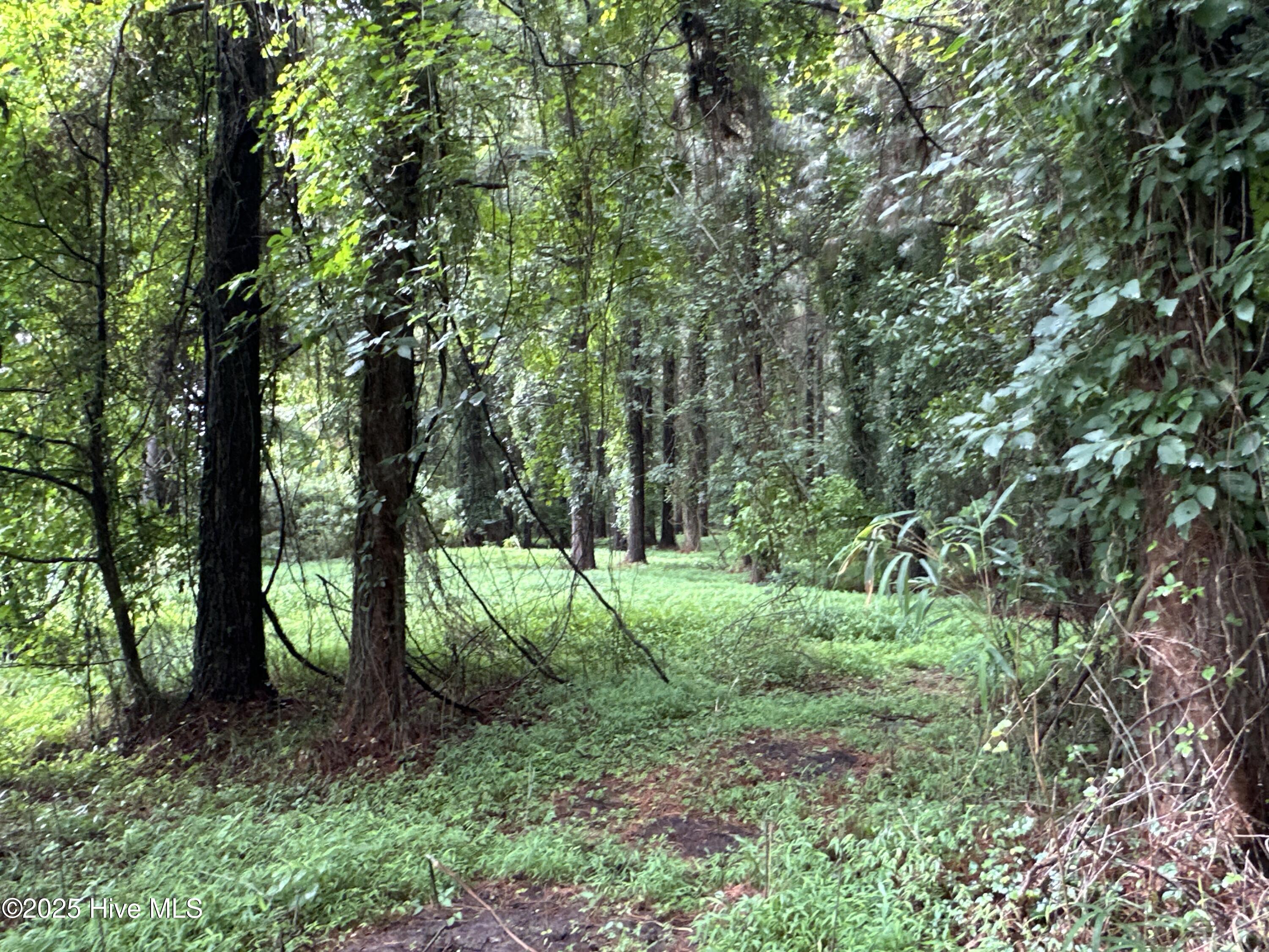 Off Sr 1337 Property Photo 27