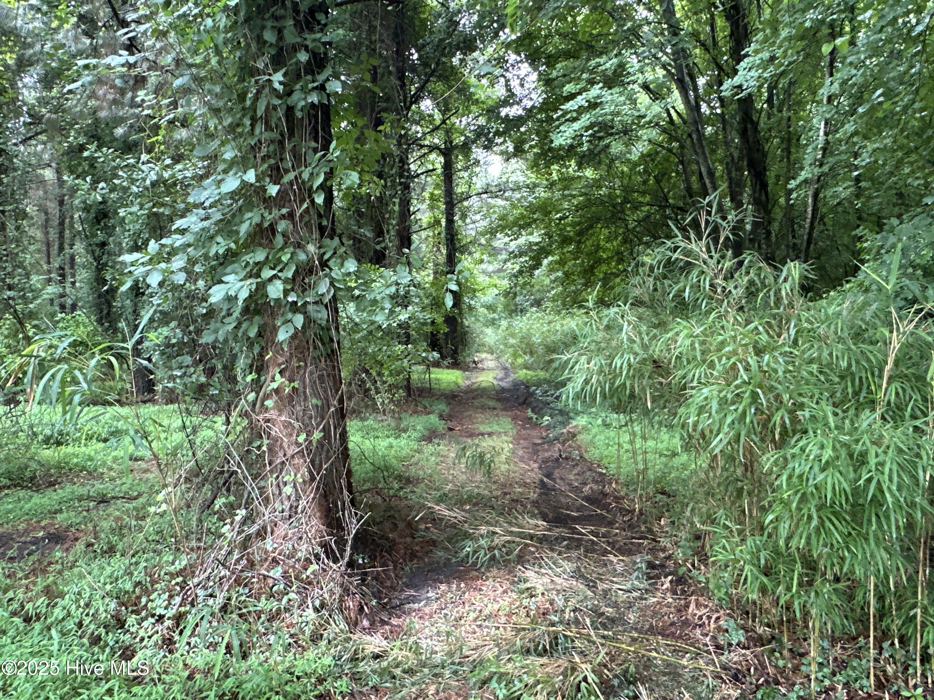 Off Sr 1337 Property Photo 28