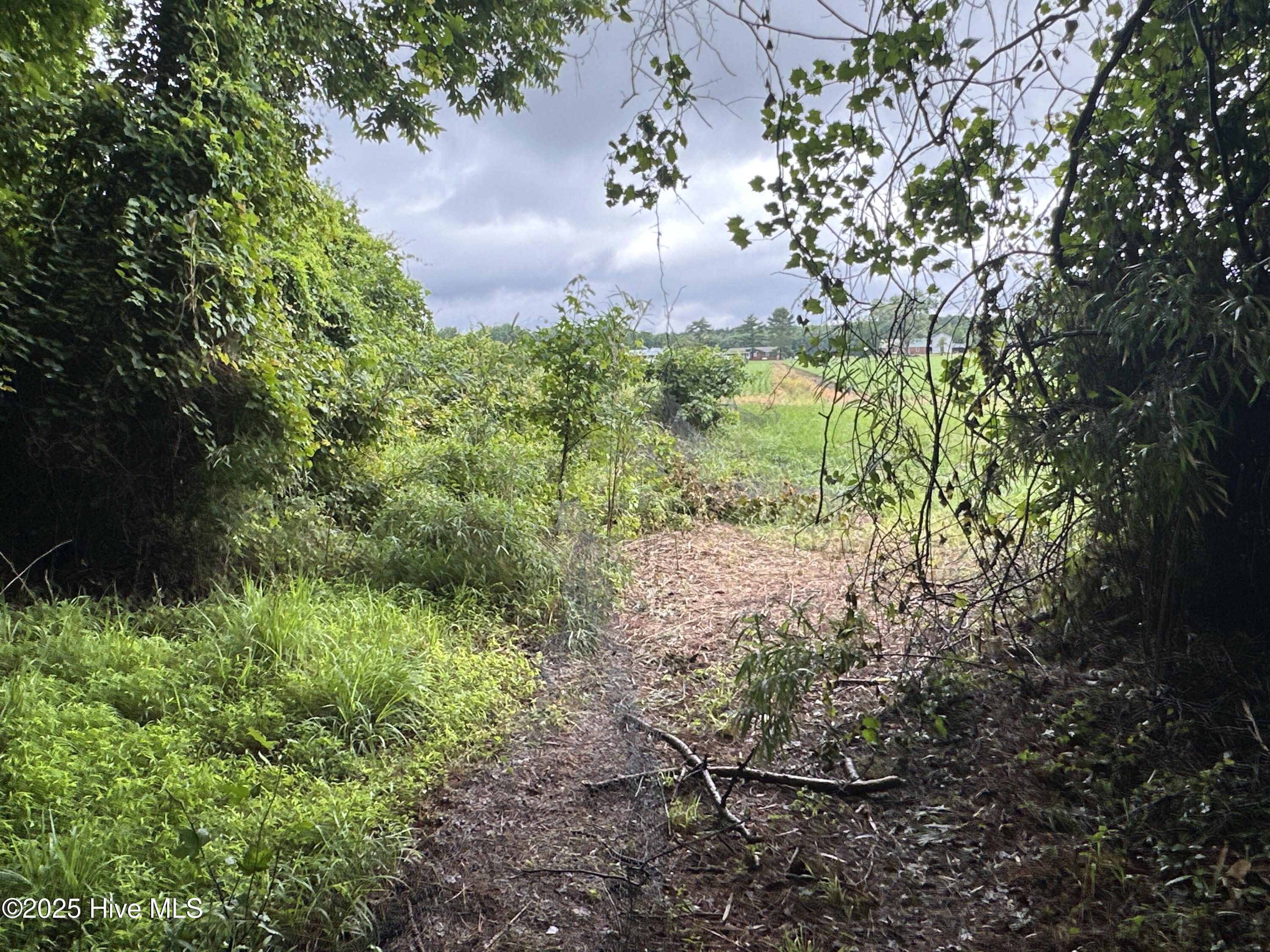 Off Sr 1337 Property Photo 29