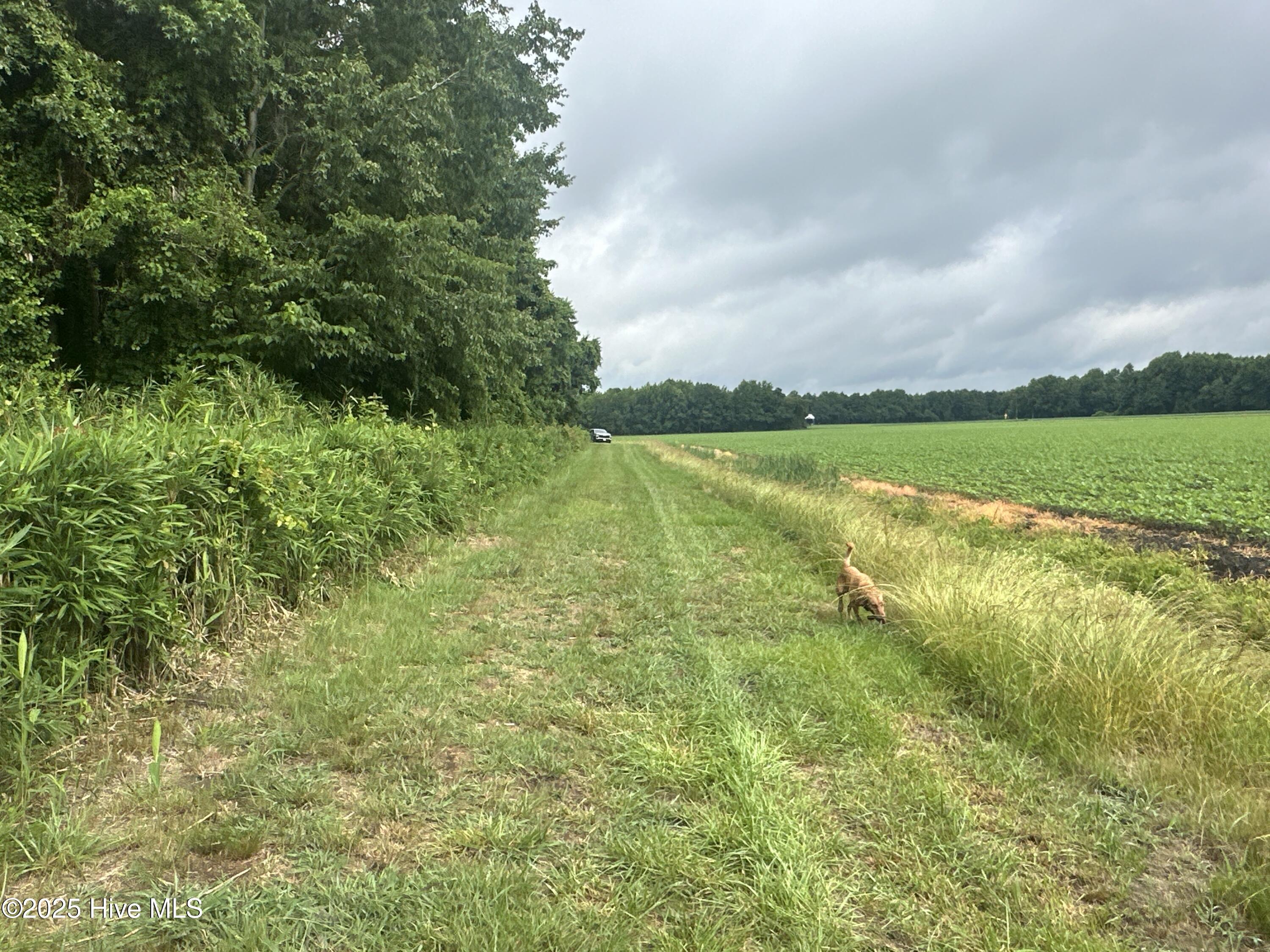 Off Sr 1337 Property Photo 30