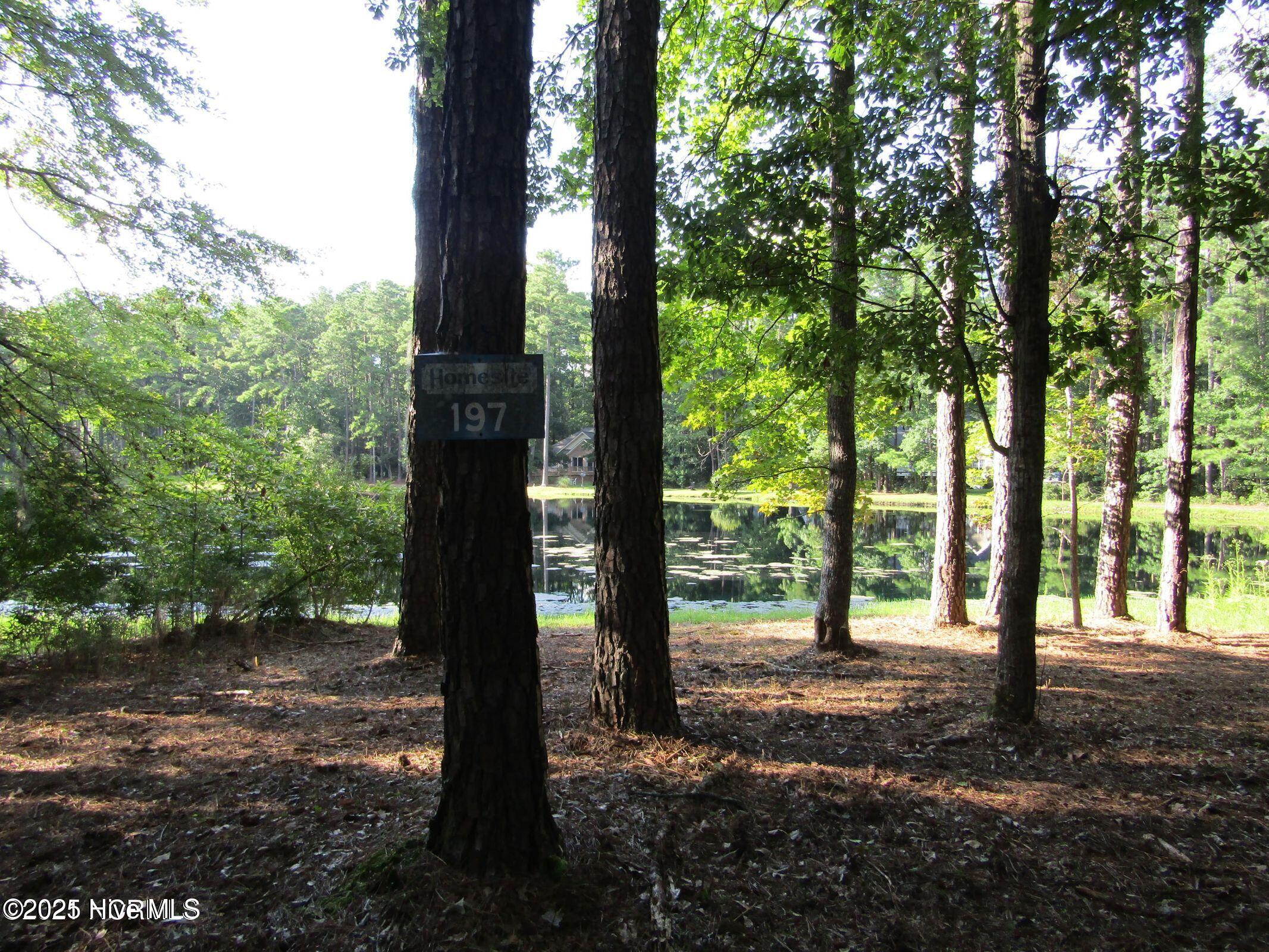 Lot 197 W Lakeview Lane Property Photo 1