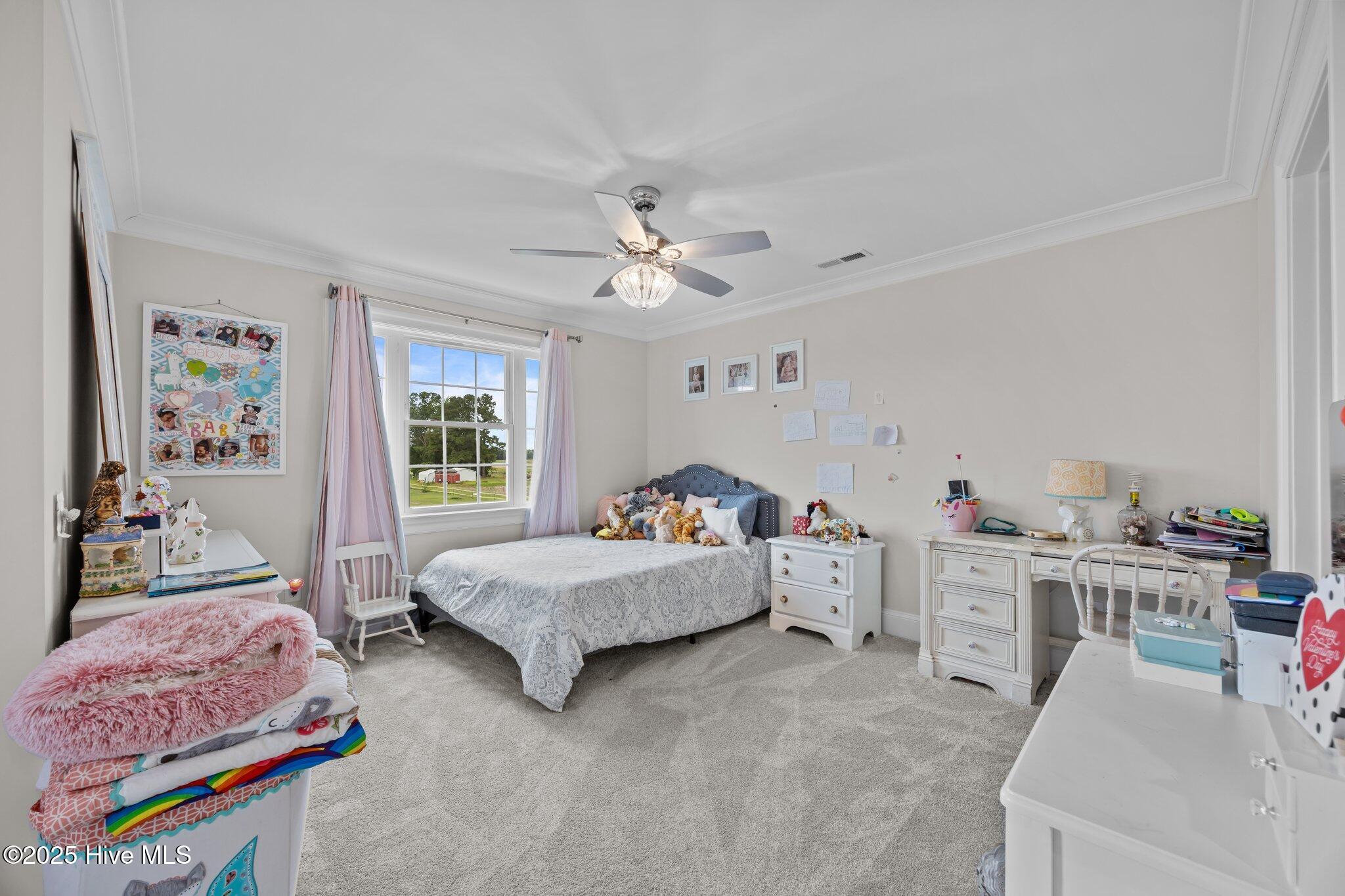 7145 Stokestown St Johns Road Property Photo 40