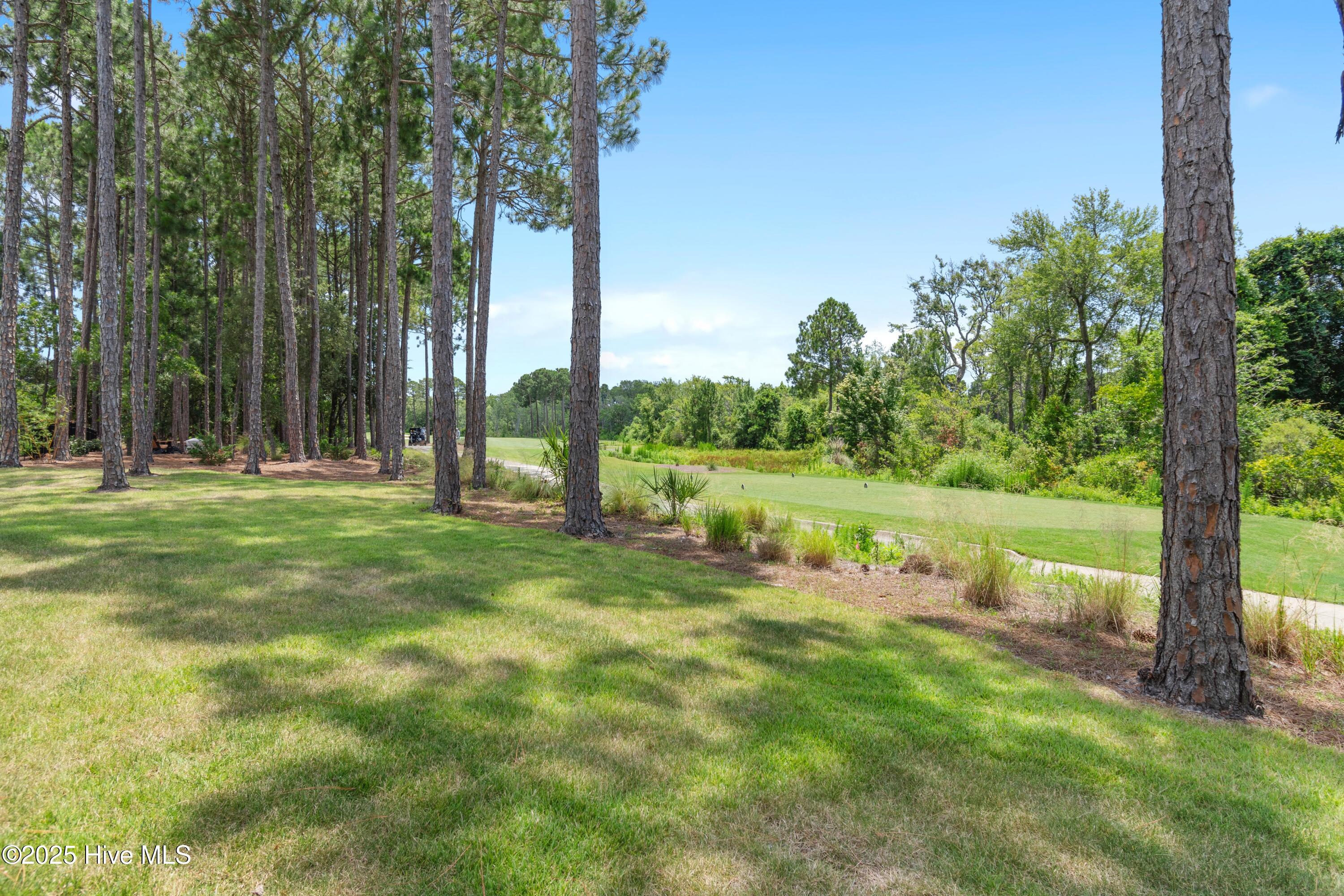 3803 Ridge Crest Drive Property Photo 62
