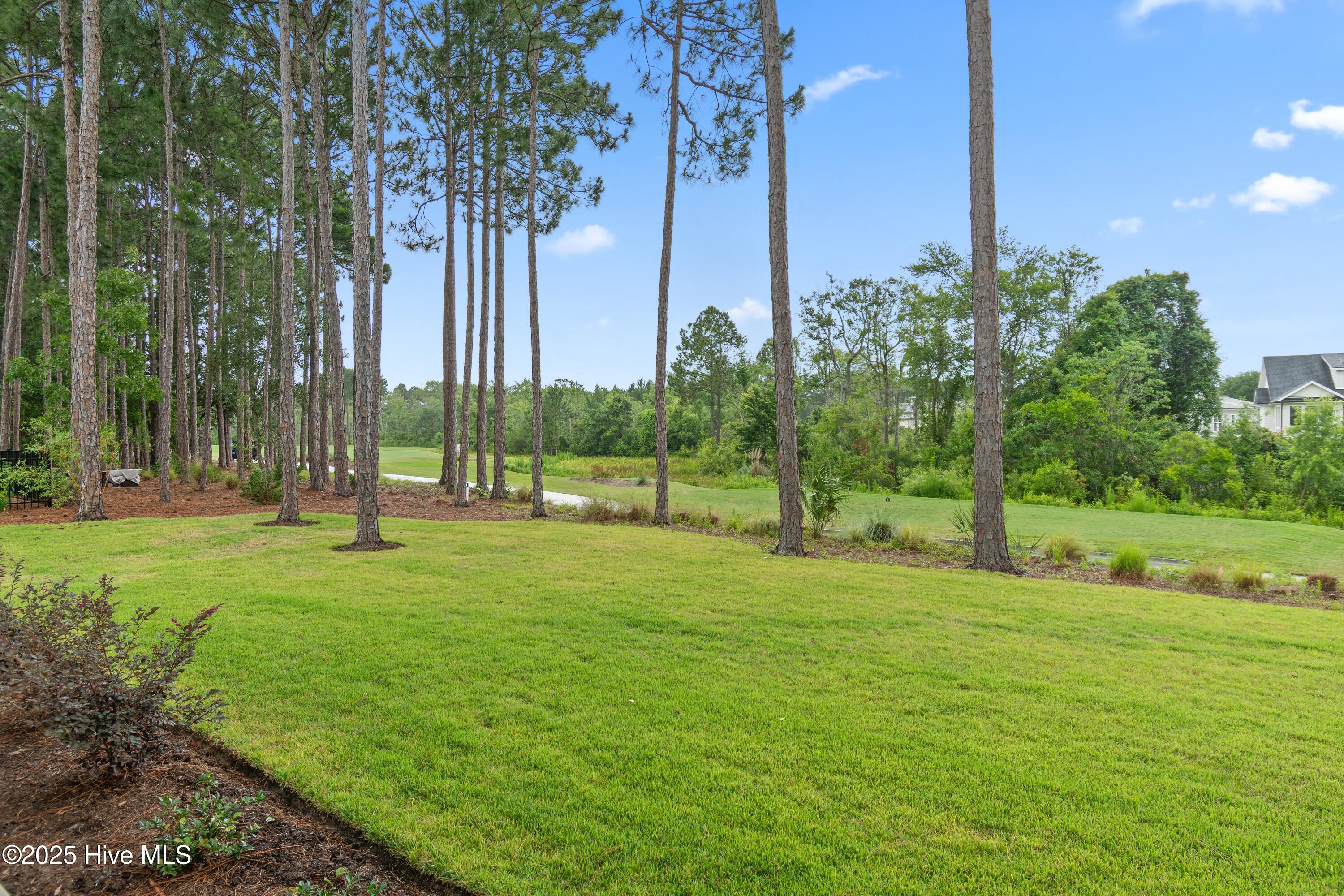 3803 Ridge Crest Drive Property Photo 63