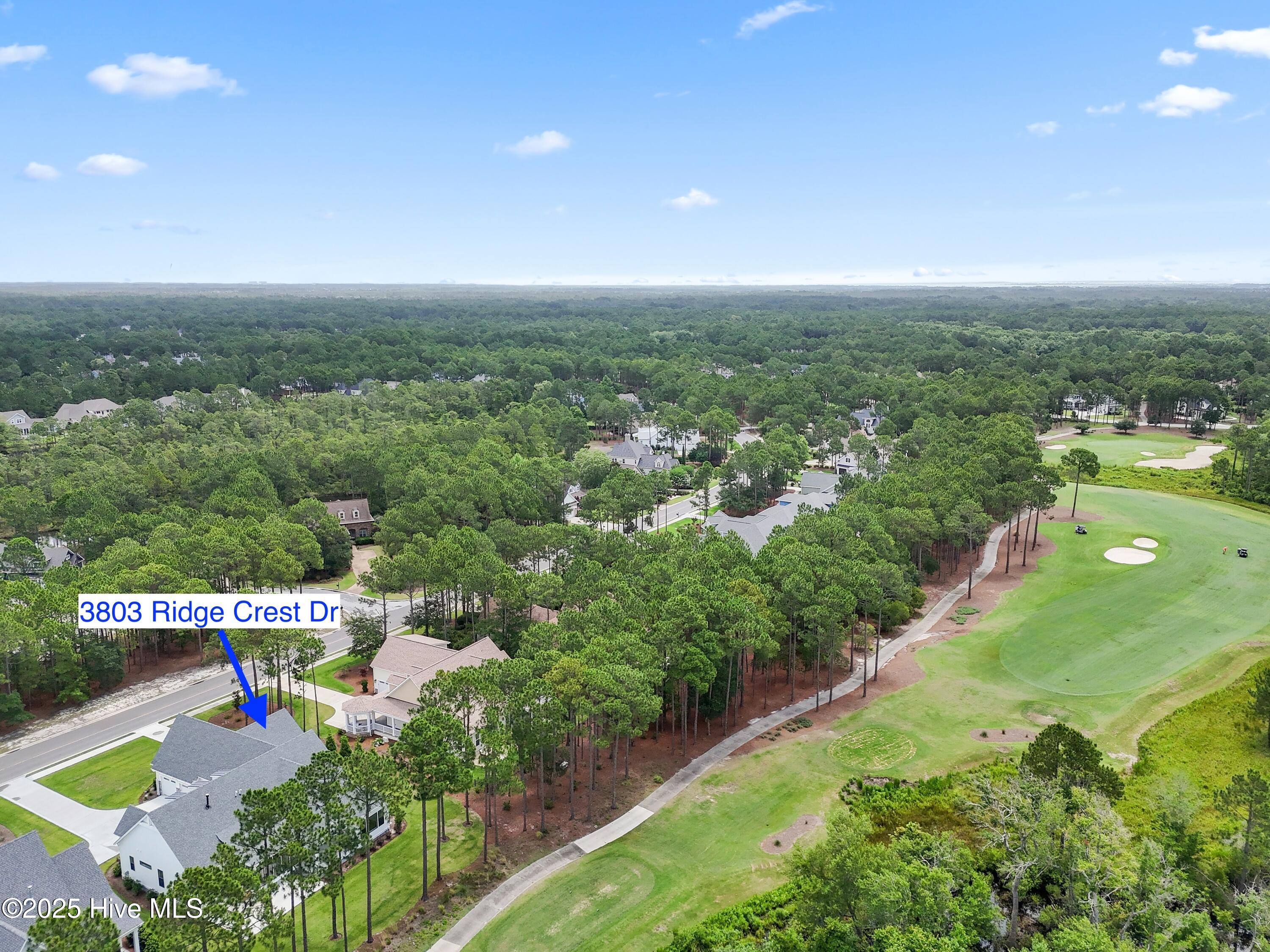 3803 Ridge Crest Drive Property Photo 72