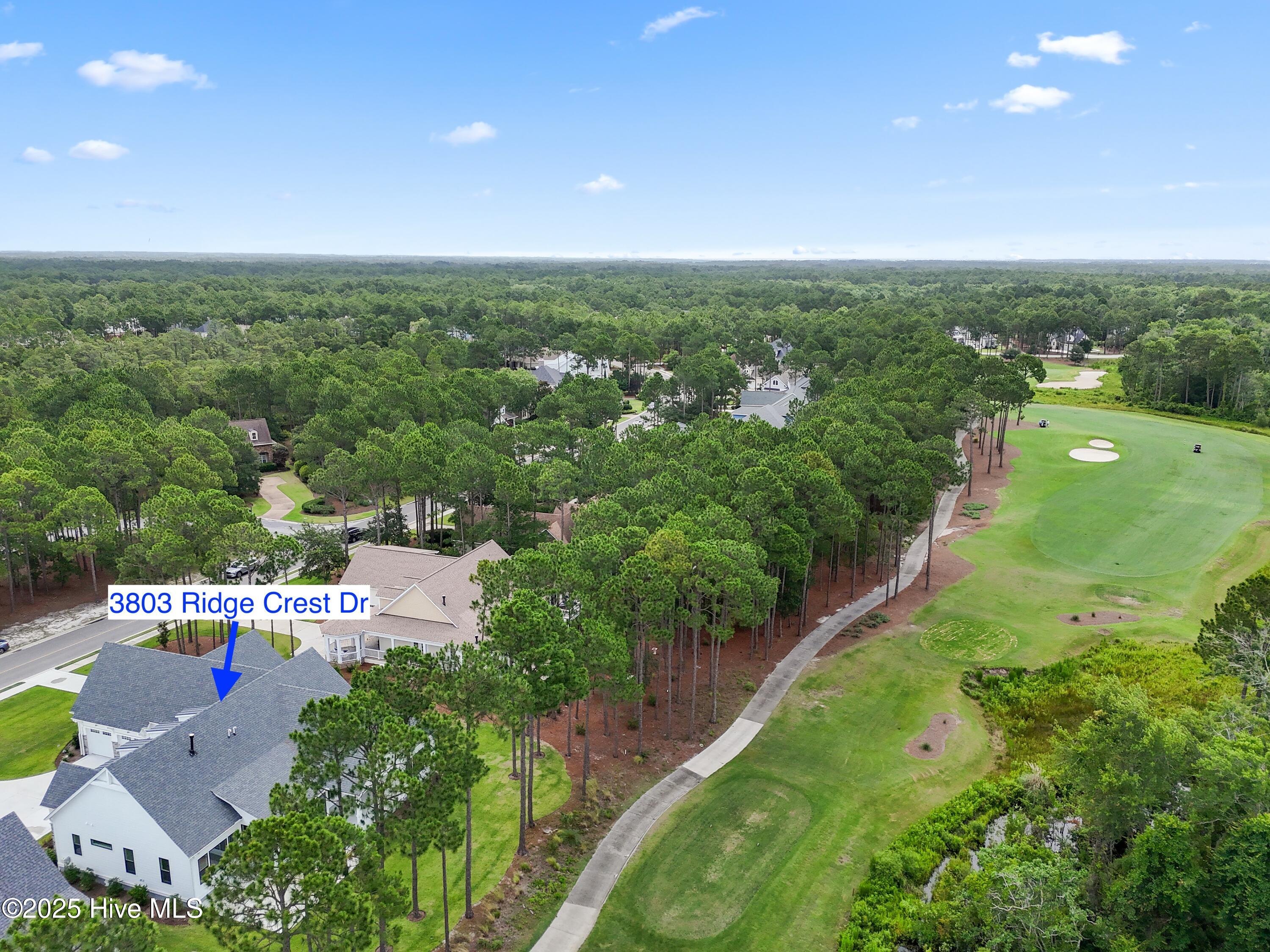 3803 Ridge Crest Drive Property Photo 74