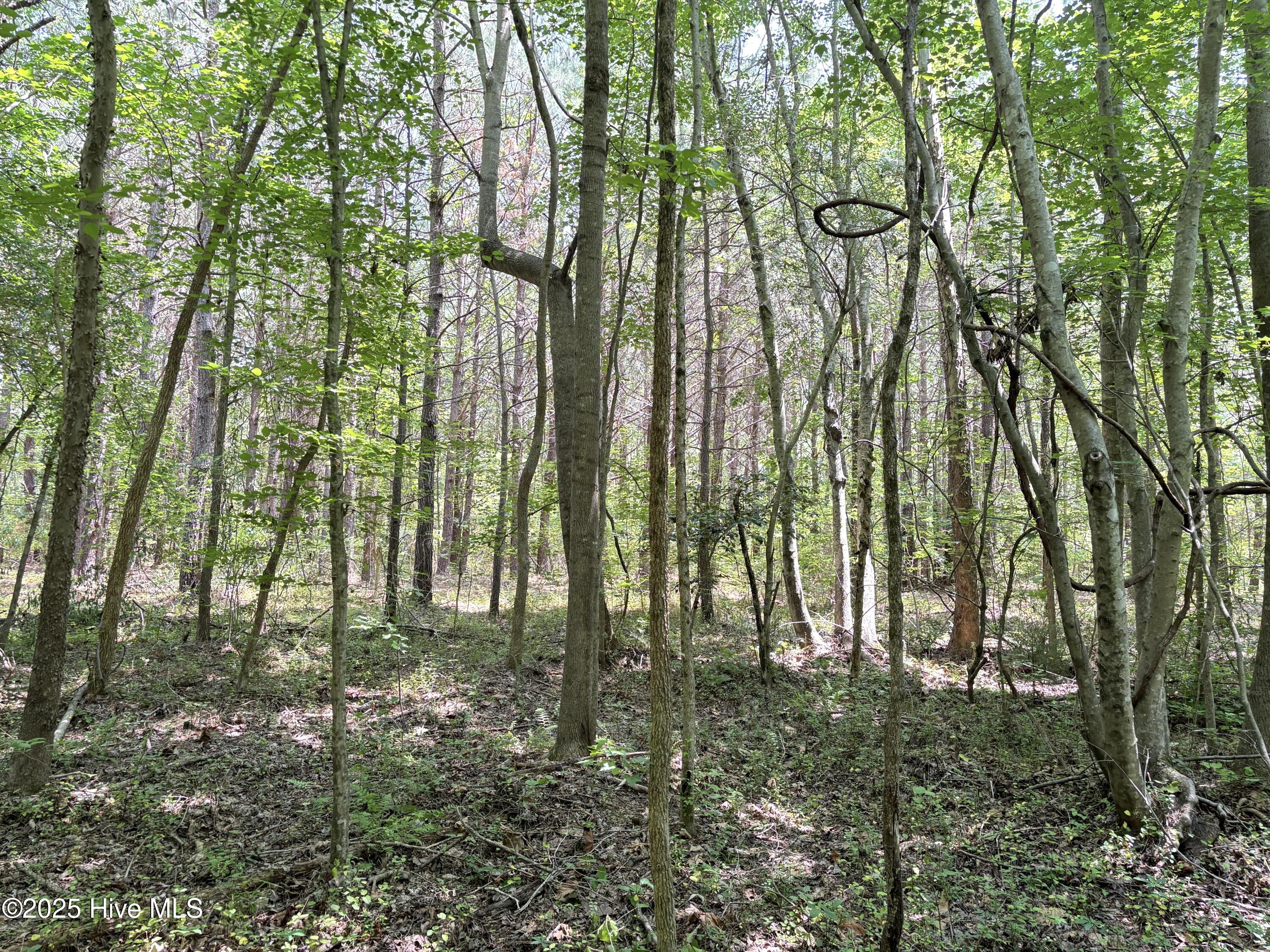 Lot 22 Buckhorn Church Road Property Photo 2