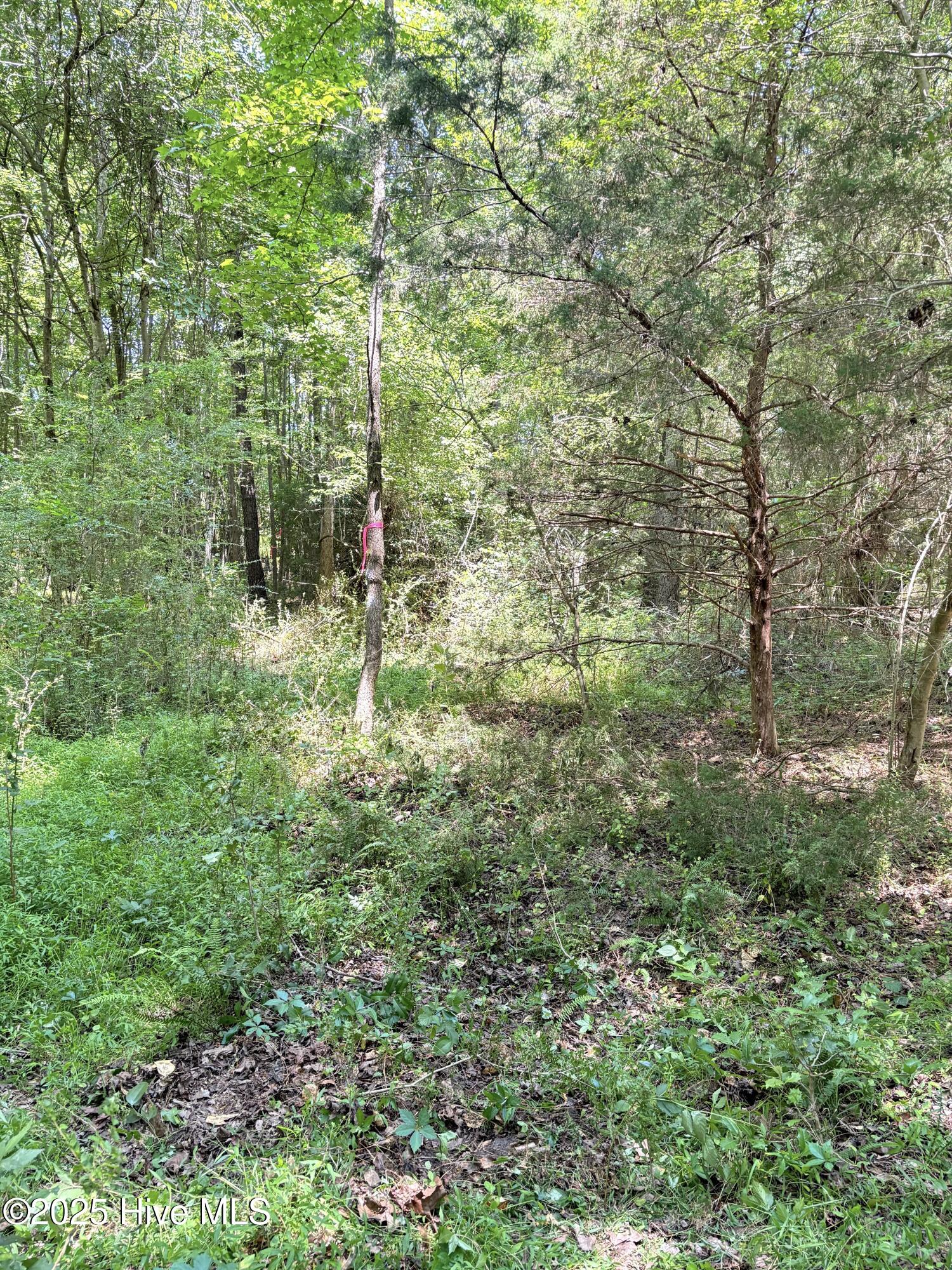 Lot 22 Buckhorn Church Road Property Photo 4