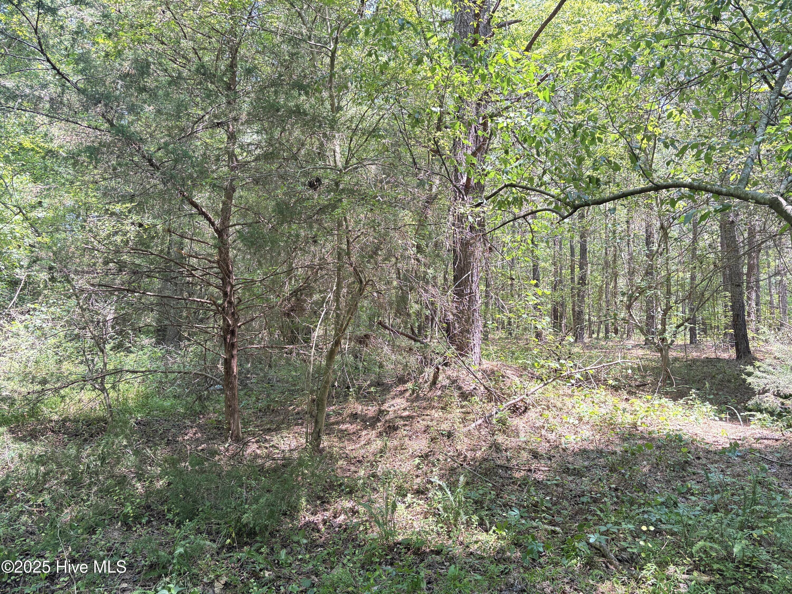 Lot 22 Buckhorn Church Road Property Photo 5