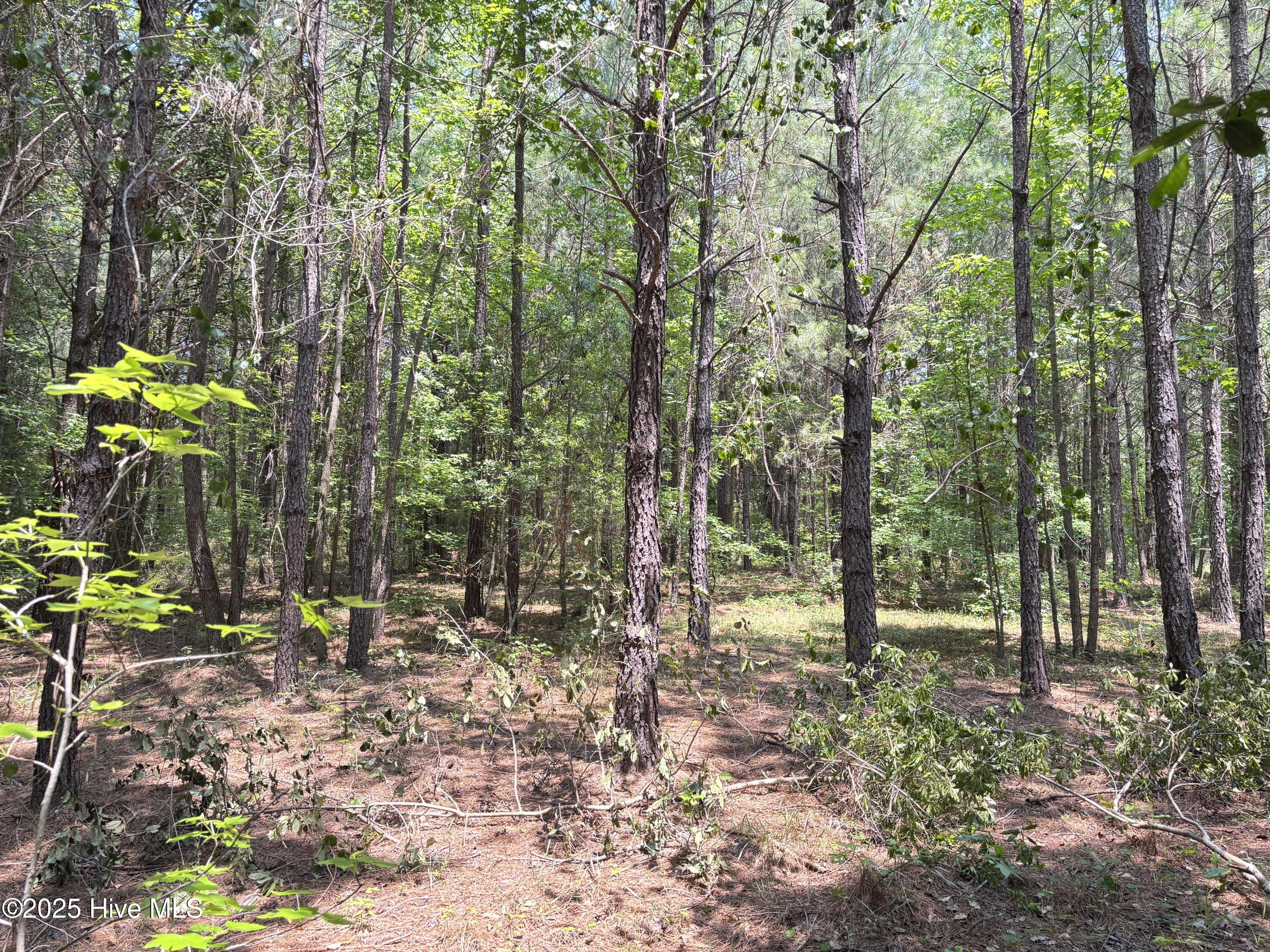 Lot 22 Buckhorn Church Road Property Photo 6
