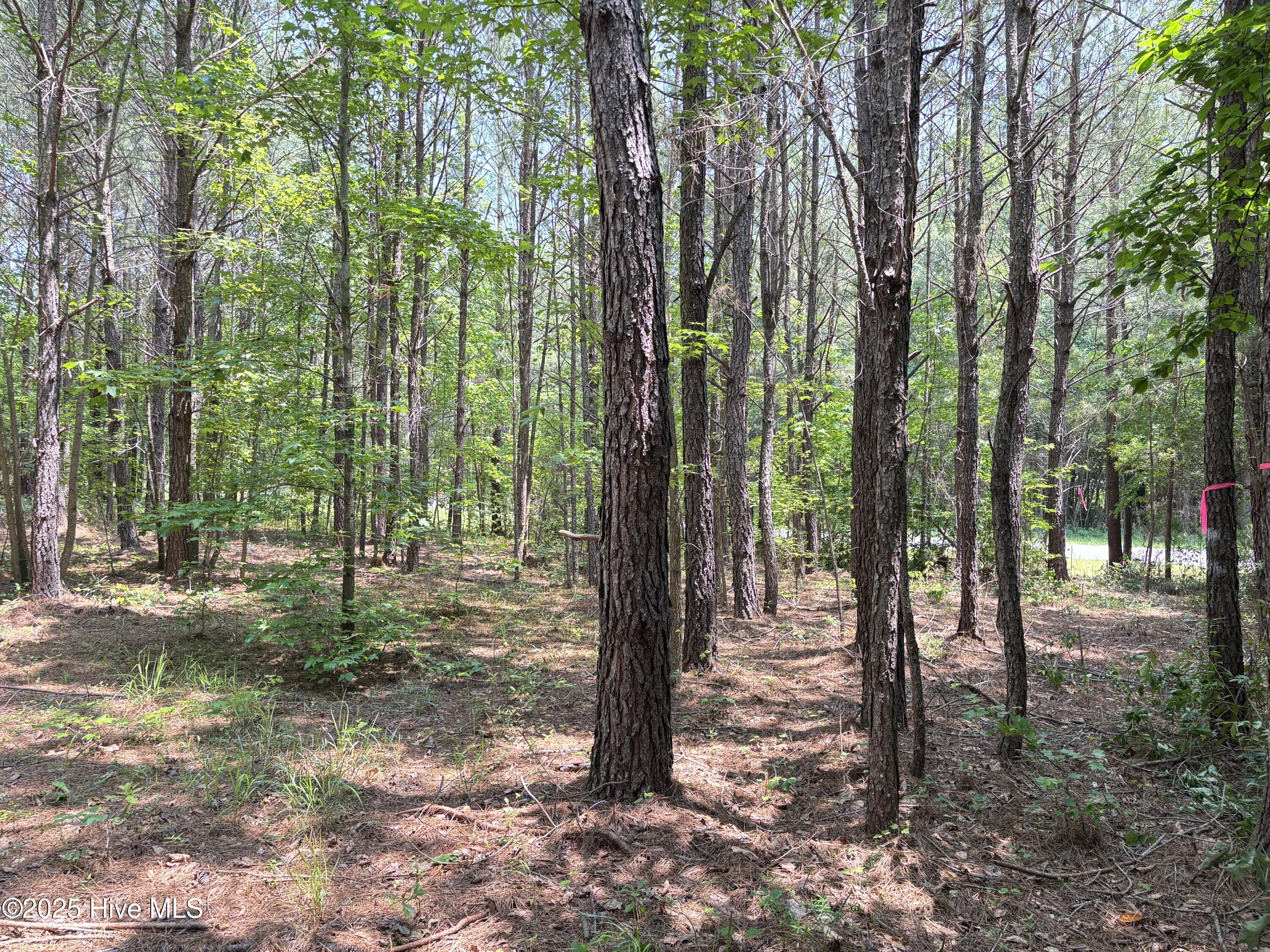 Lot 22 Buckhorn Church Road Property Photo 7