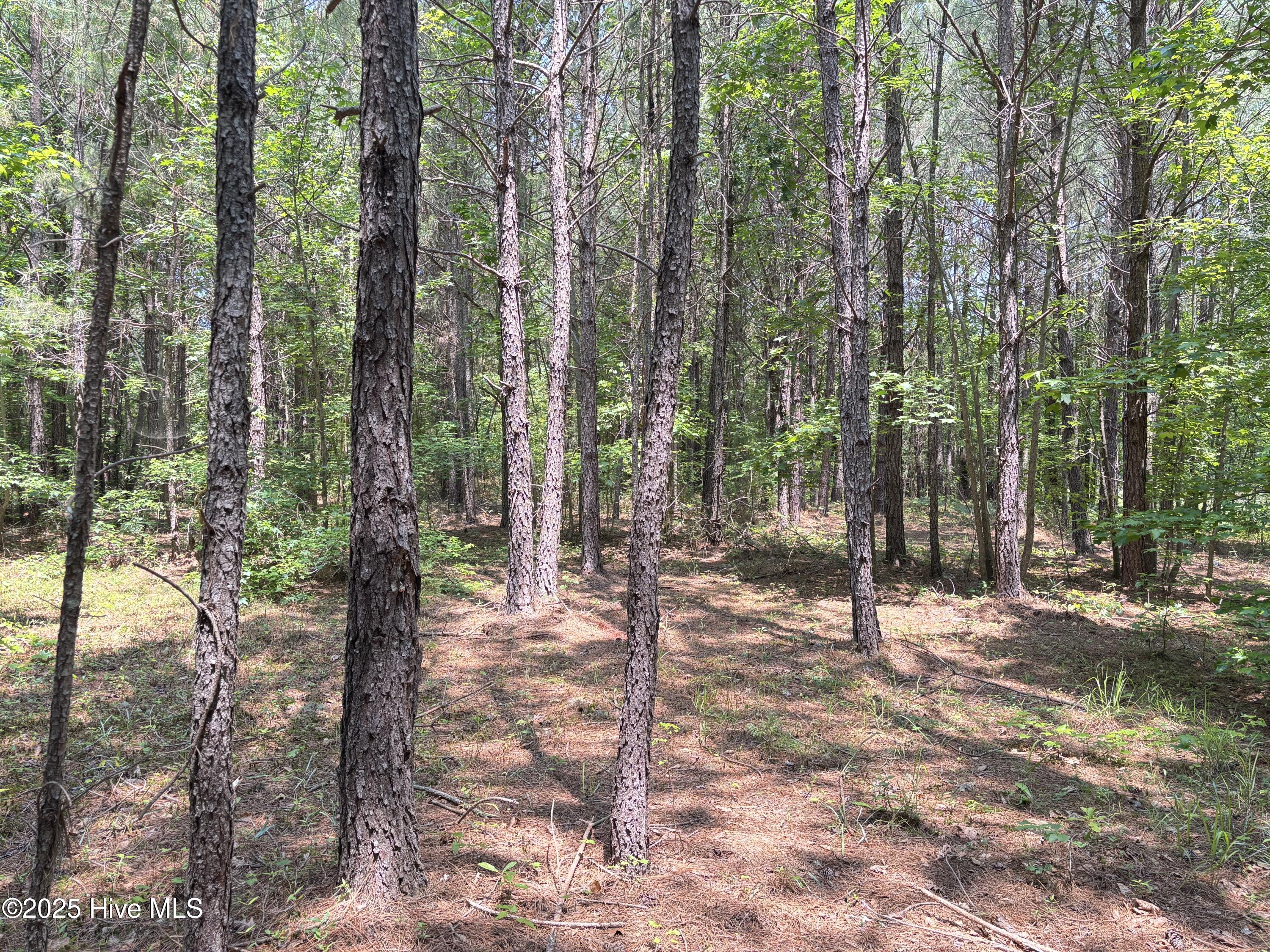 Lot 22 Buckhorn Church Road Property Photo 8
