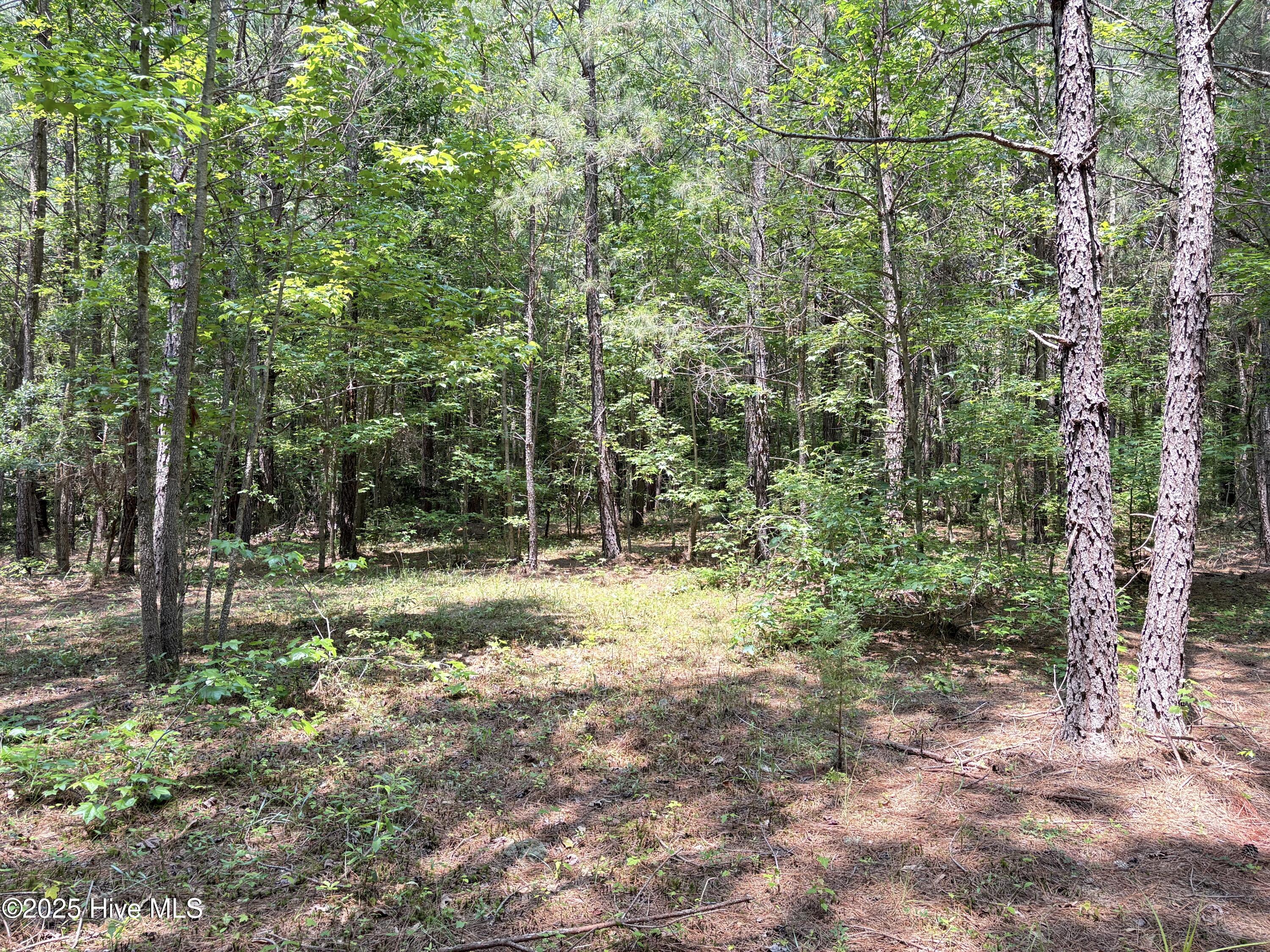 Lot 22 Buckhorn Church Road Property Photo 9