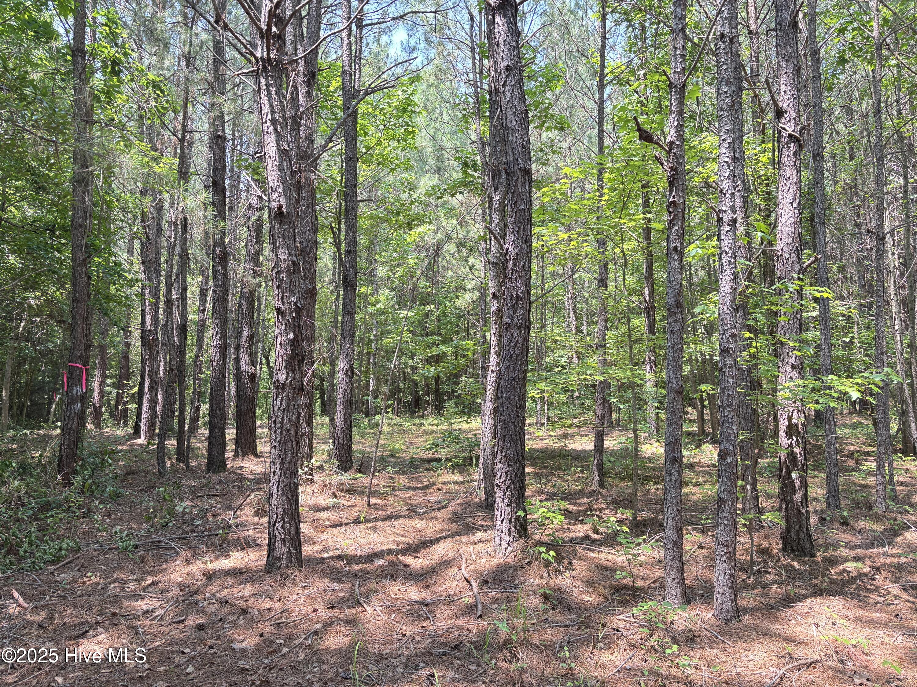 Lot 22 Buckhorn Church Road Property Photo 10
