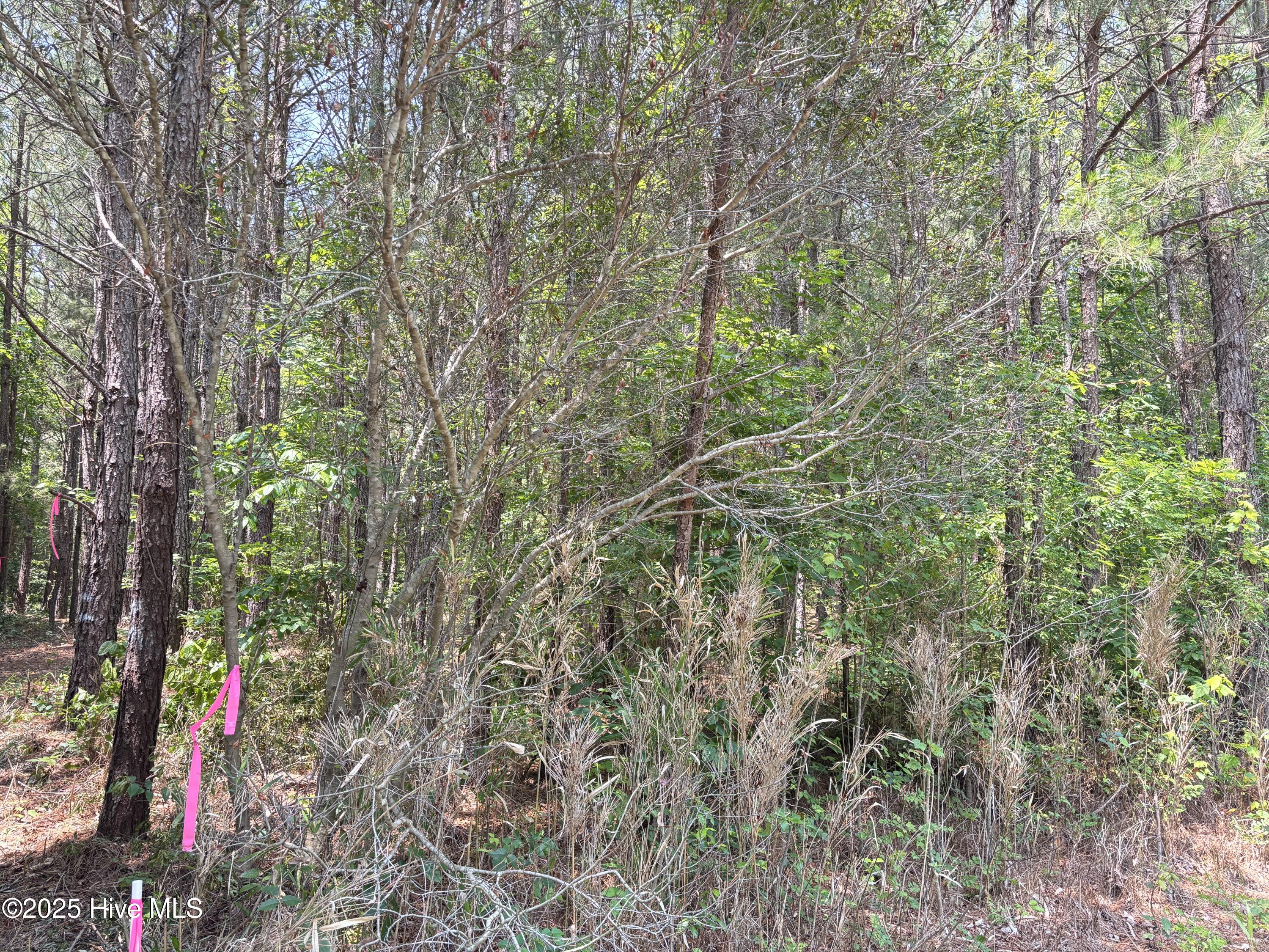 Lot 22 Buckhorn Church Road Property Photo 11
