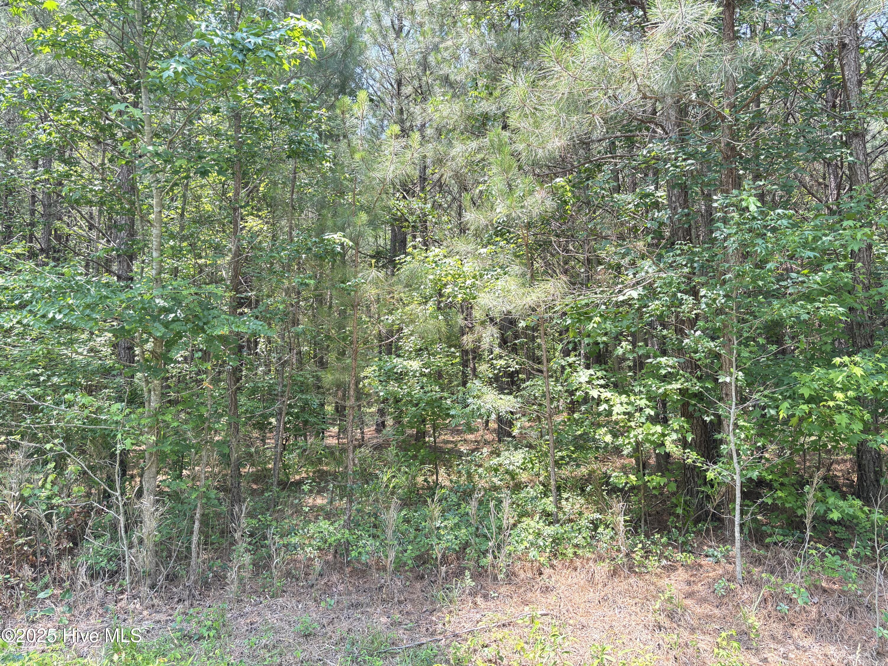 Lot 22 Buckhorn Church Road Property Photo 12