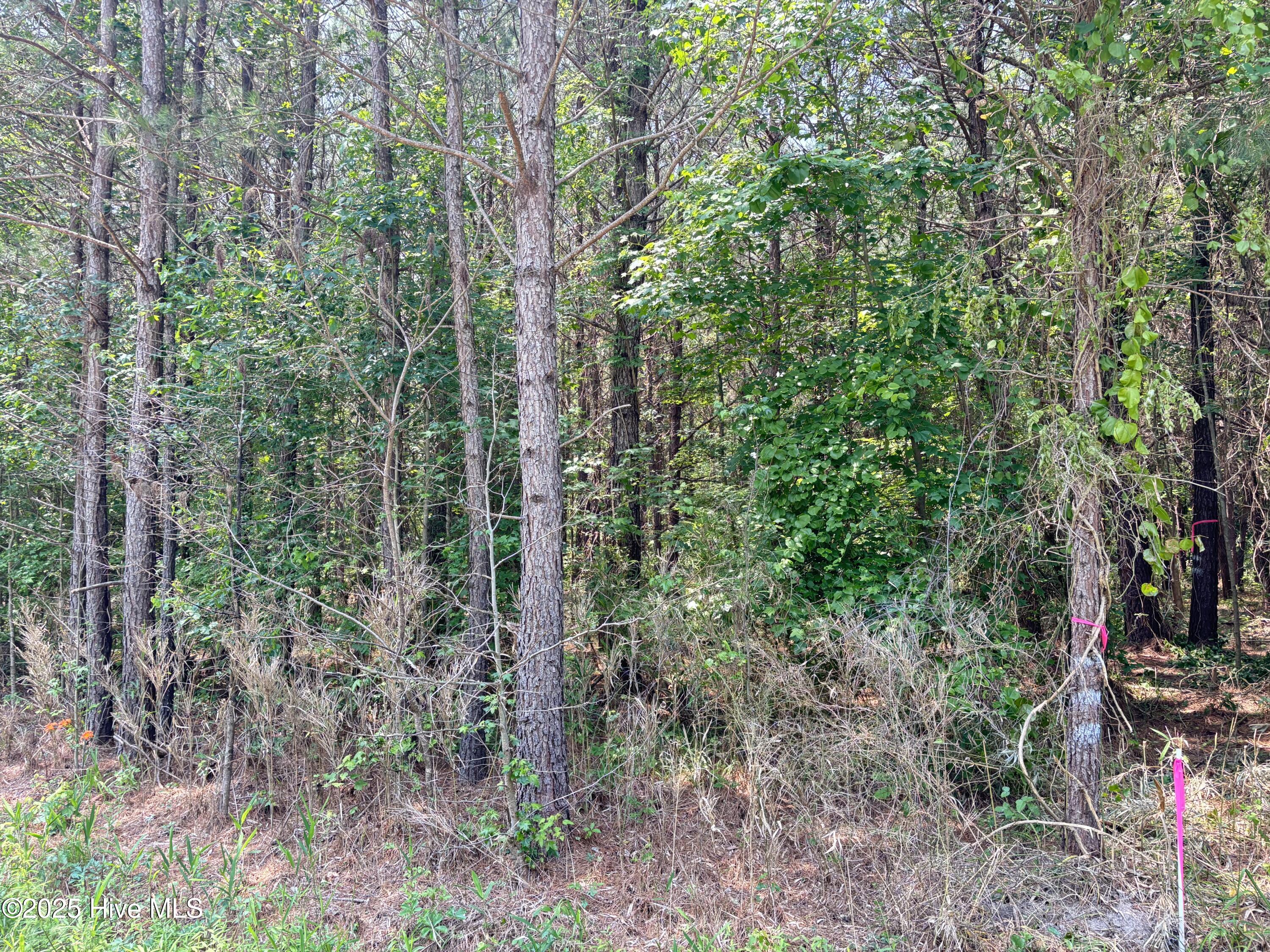 Lot 22 Buckhorn Church Road Property Photo 13