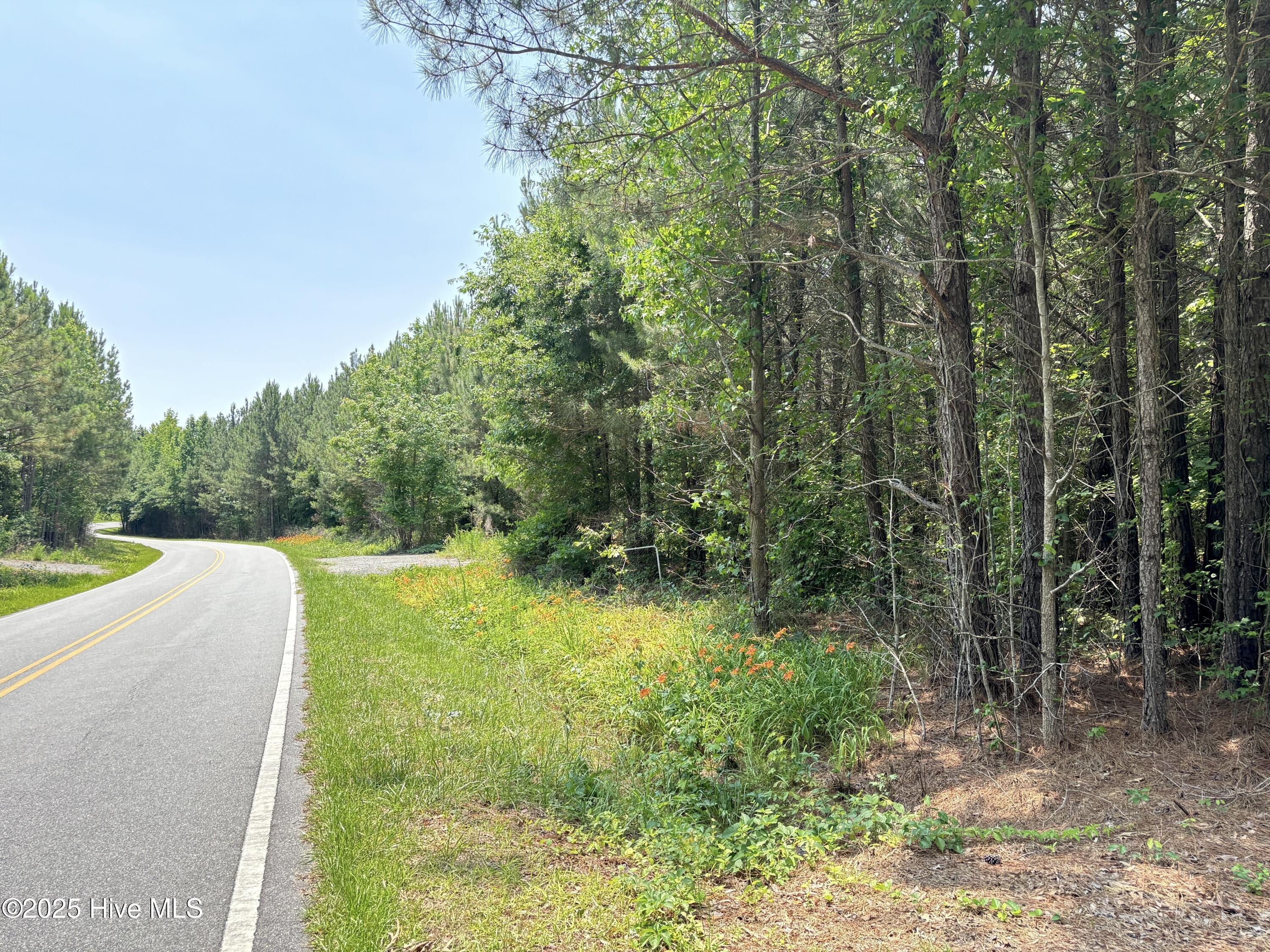 Lot 22 Buckhorn Church Road Property Photo 14
