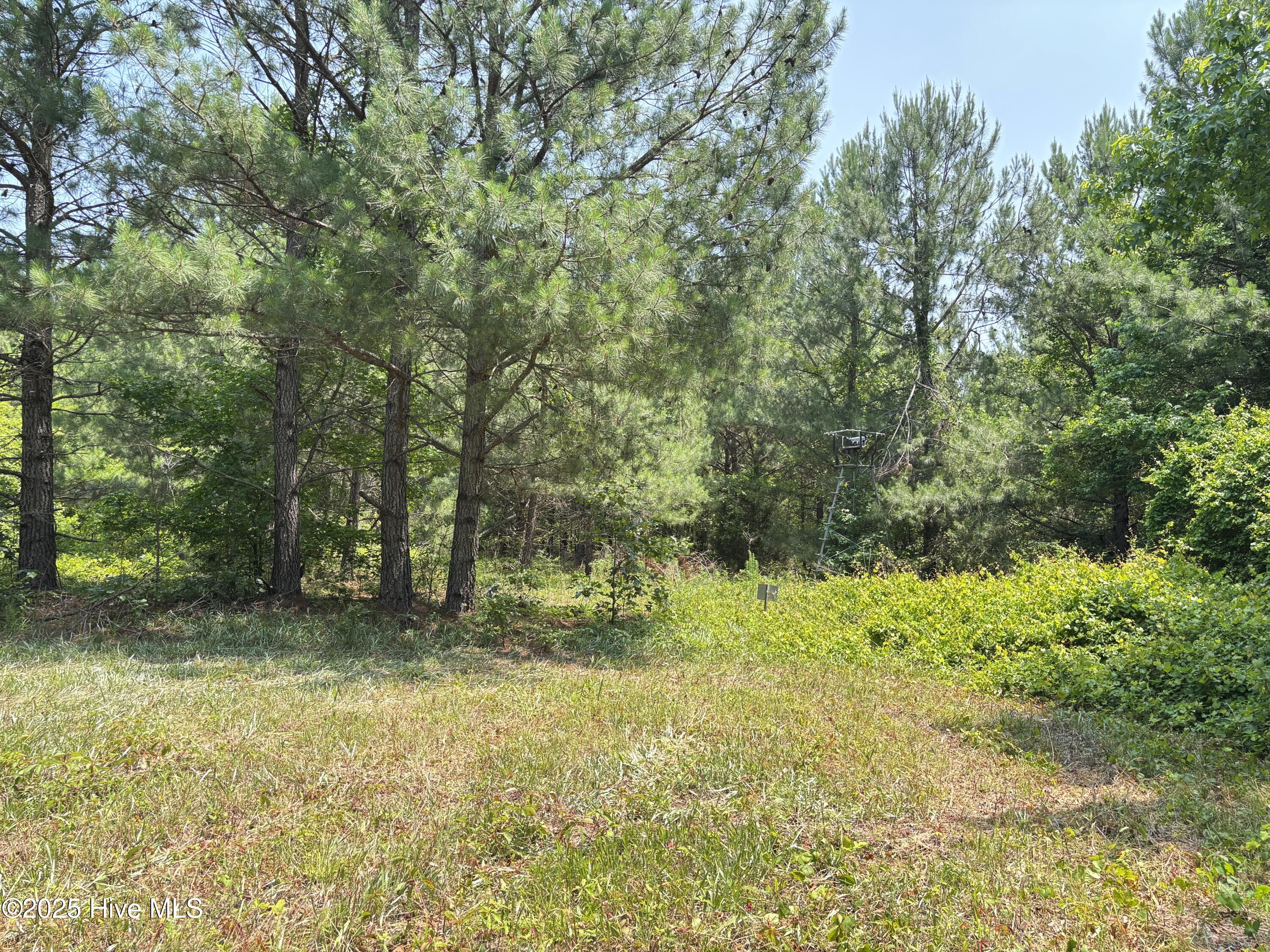 Lot 23 Buckhorn Church Road Property Photo 1