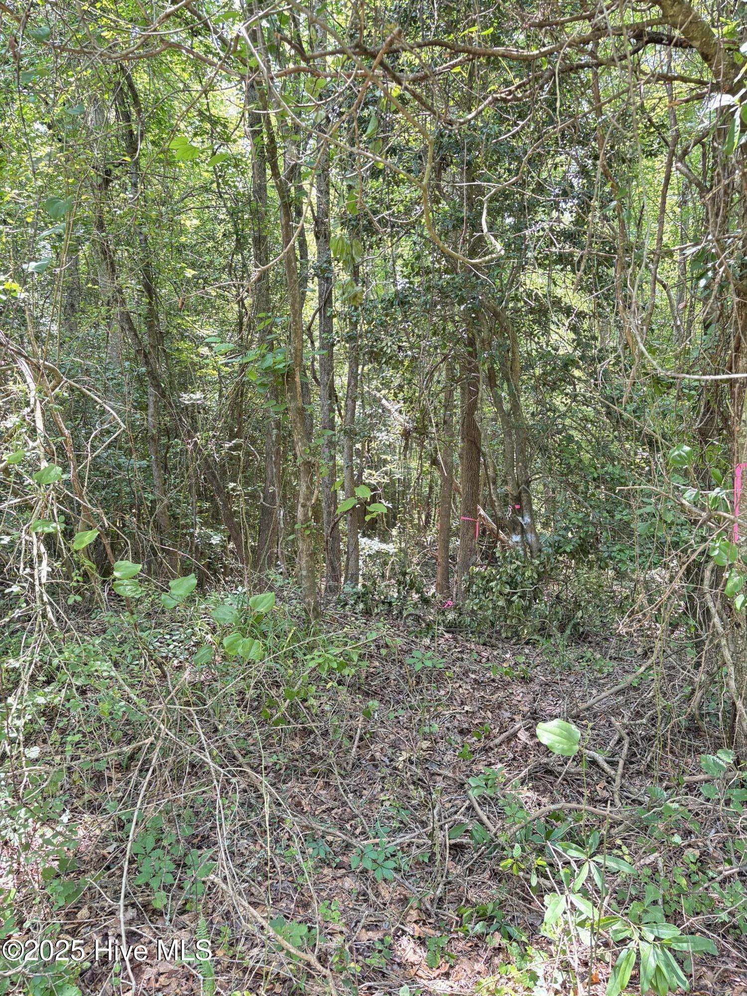 Lot 23 Buckhorn Church Road Property Photo 2