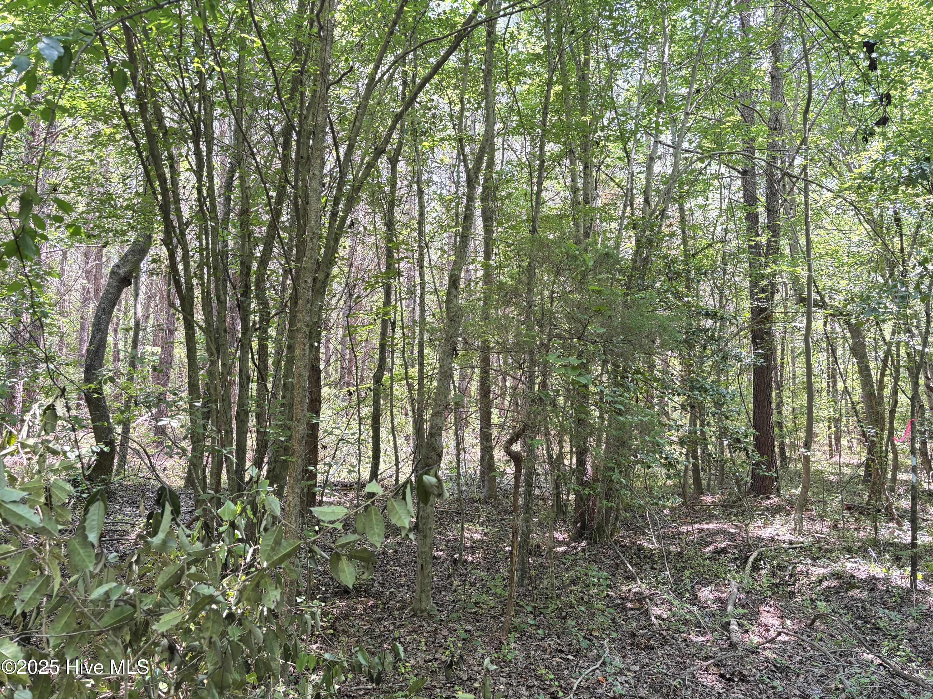 Lot 23 Buckhorn Church Road Property Photo 3
