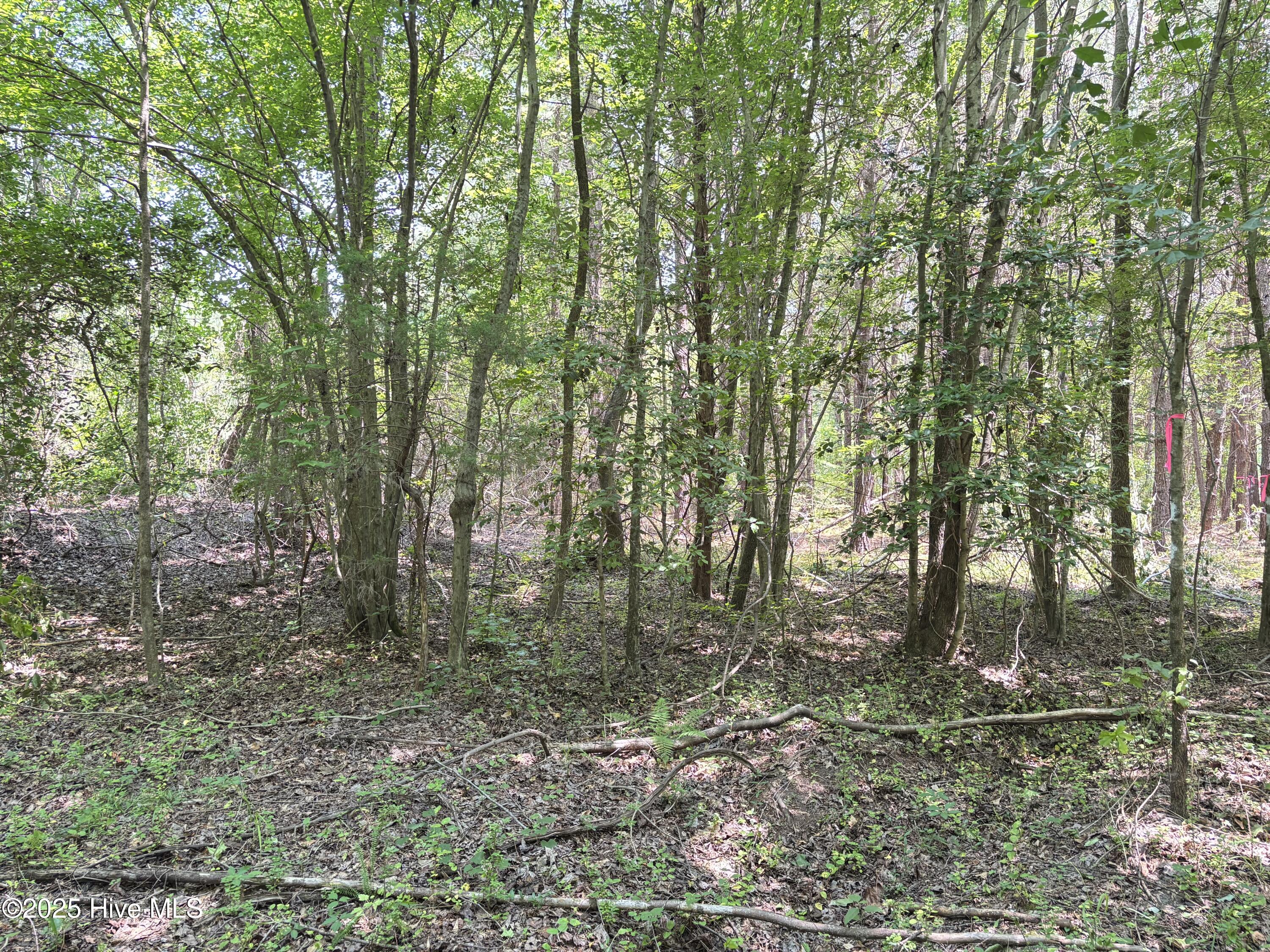 Lot 23 Buckhorn Church Road Property Photo 4