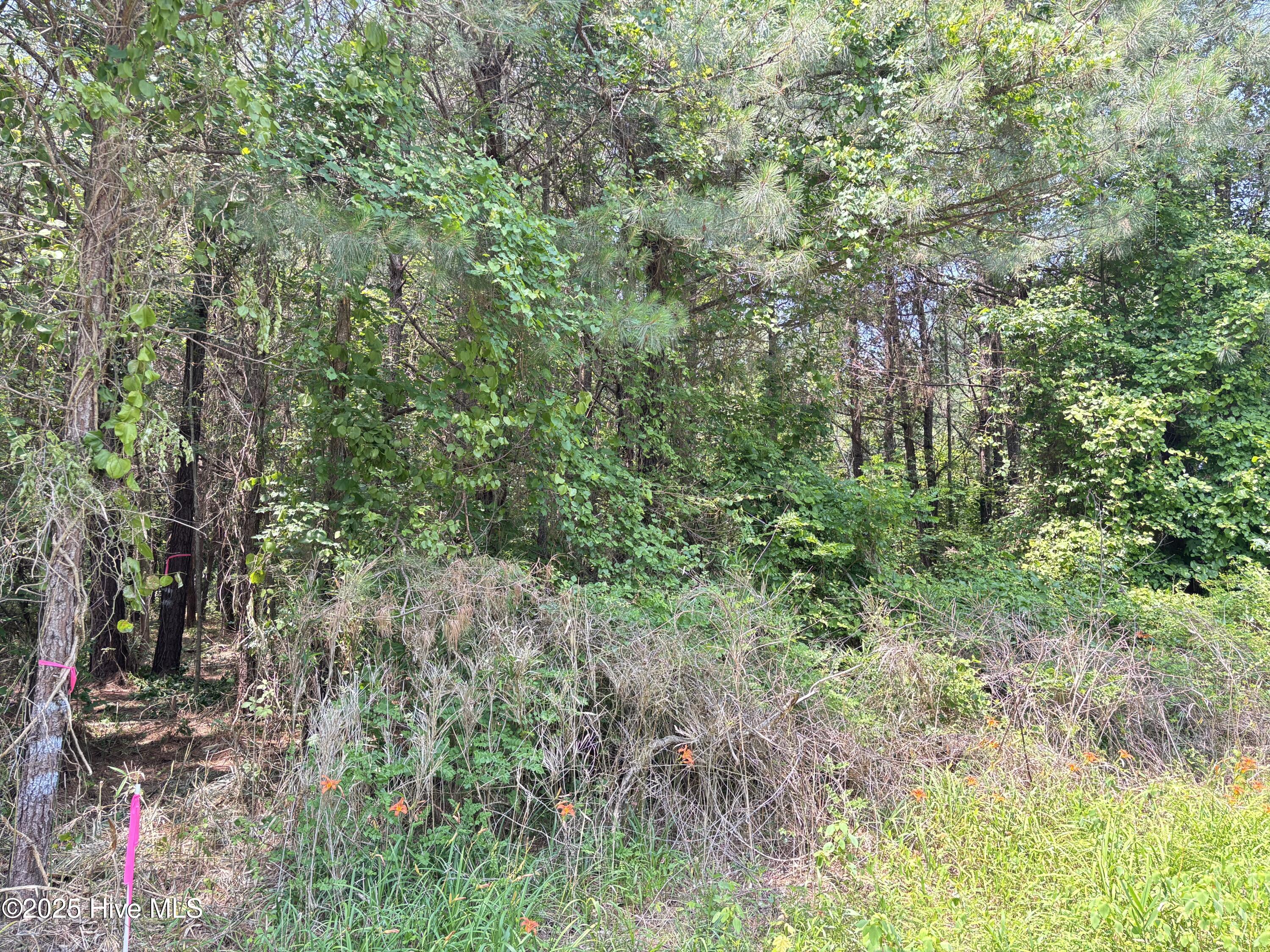 Lot 23 Buckhorn Church Road Property Photo 5