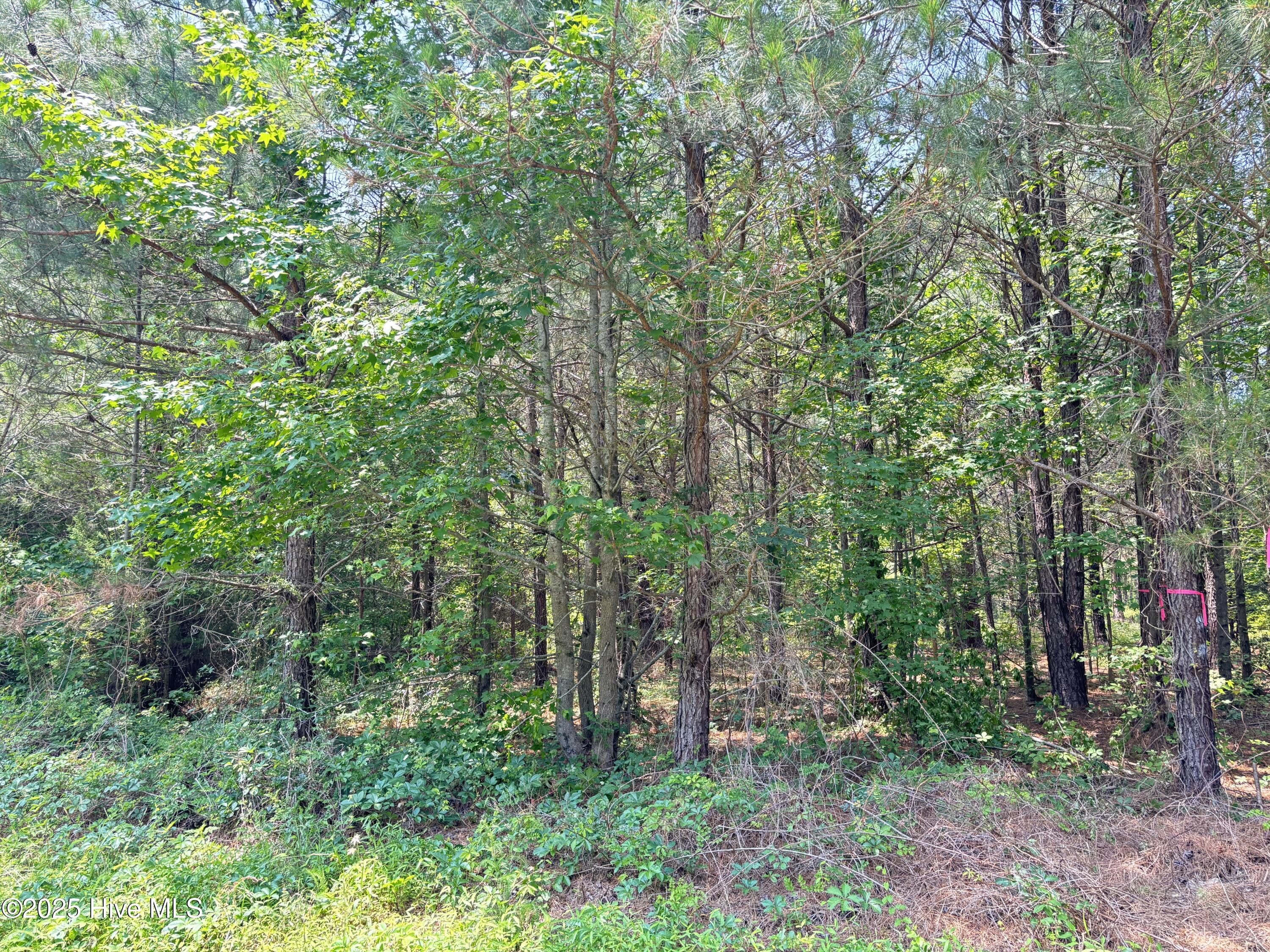 Lot 23 Buckhorn Church Road Property Photo 8