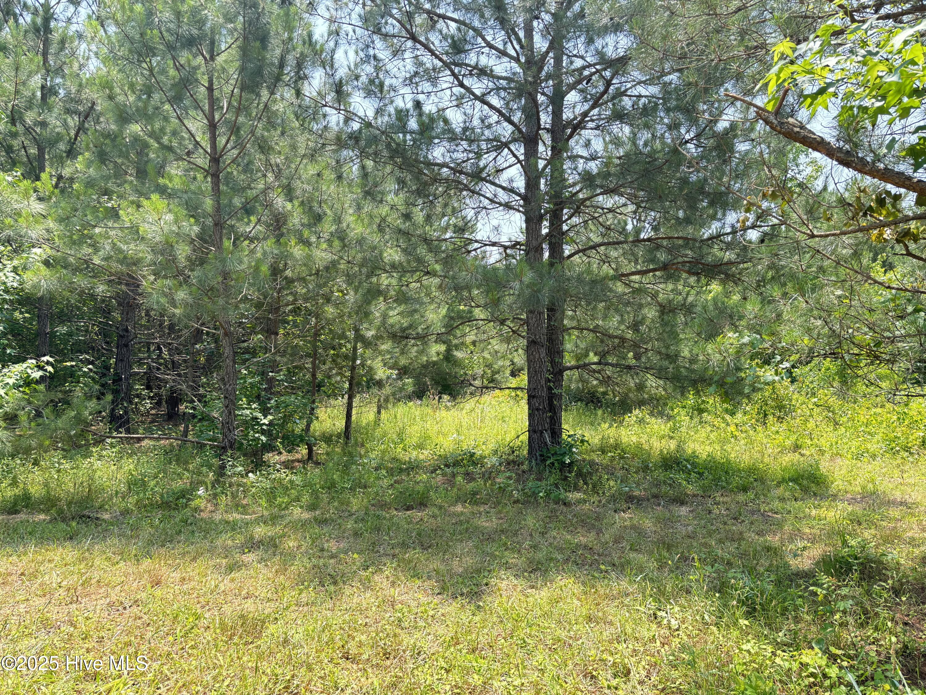 Lot 24 Buckhorn Church Road Property Photo 1