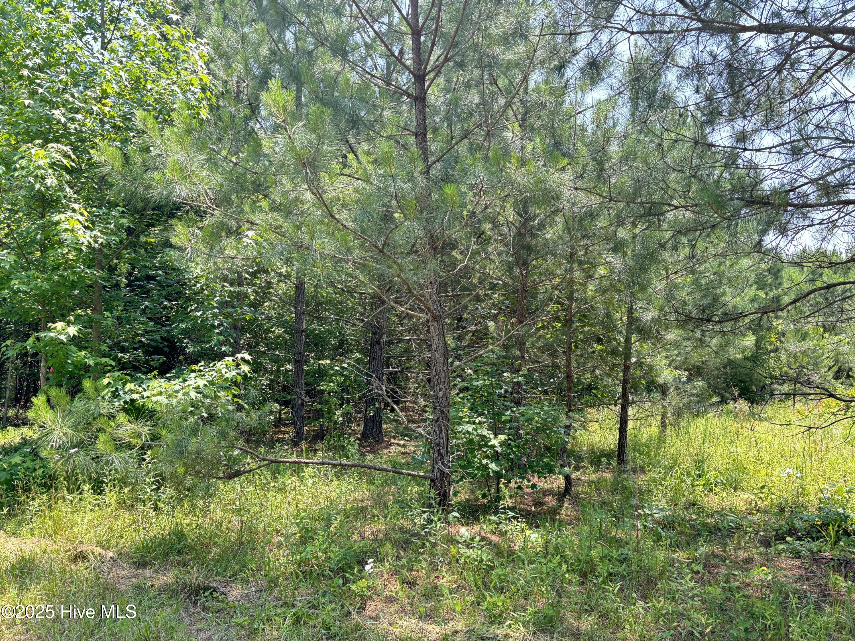Lot 24 Buckhorn Church Road Property Photo 2