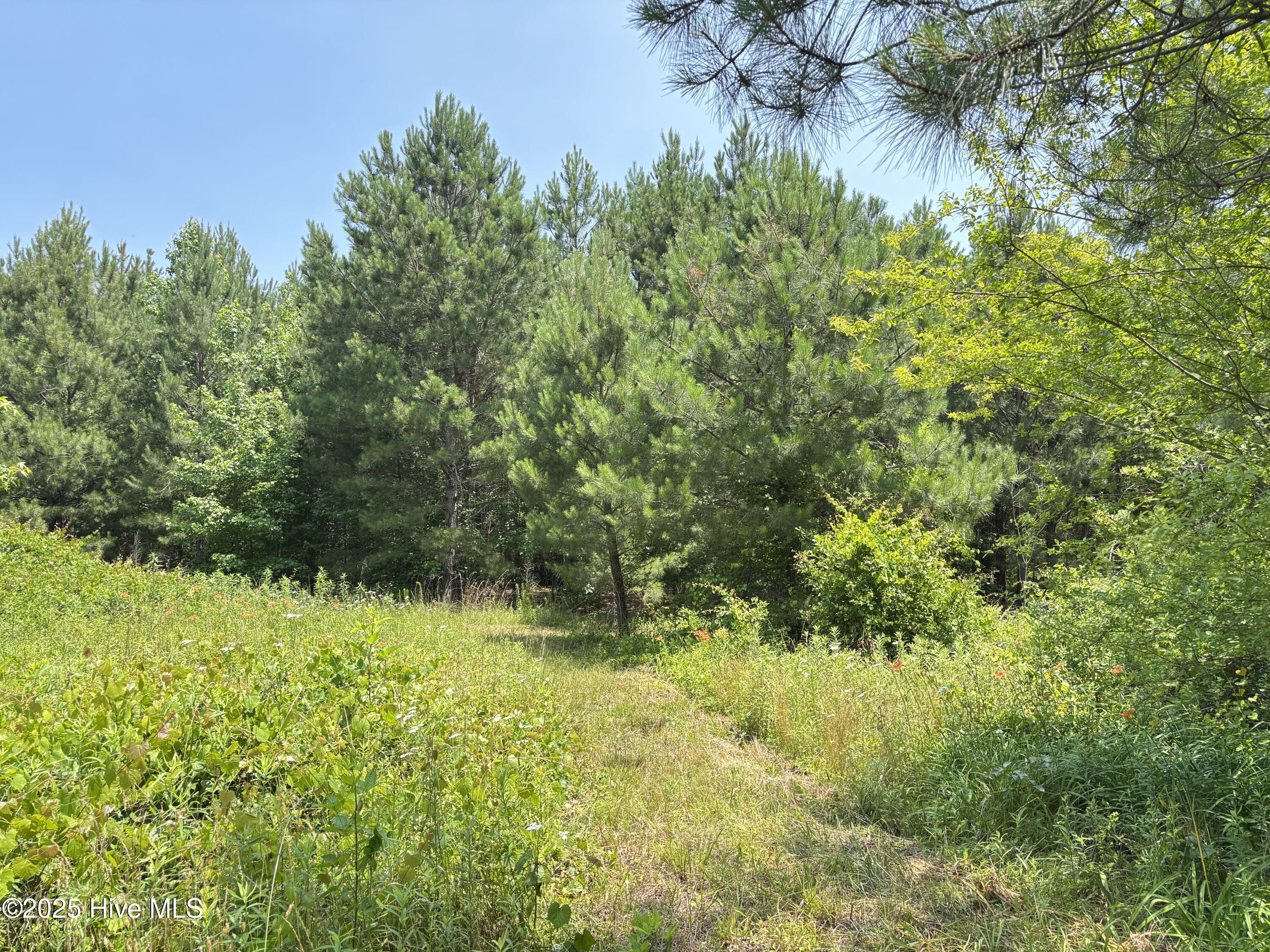 Lot 24 Buckhorn Church Road Property Photo 5