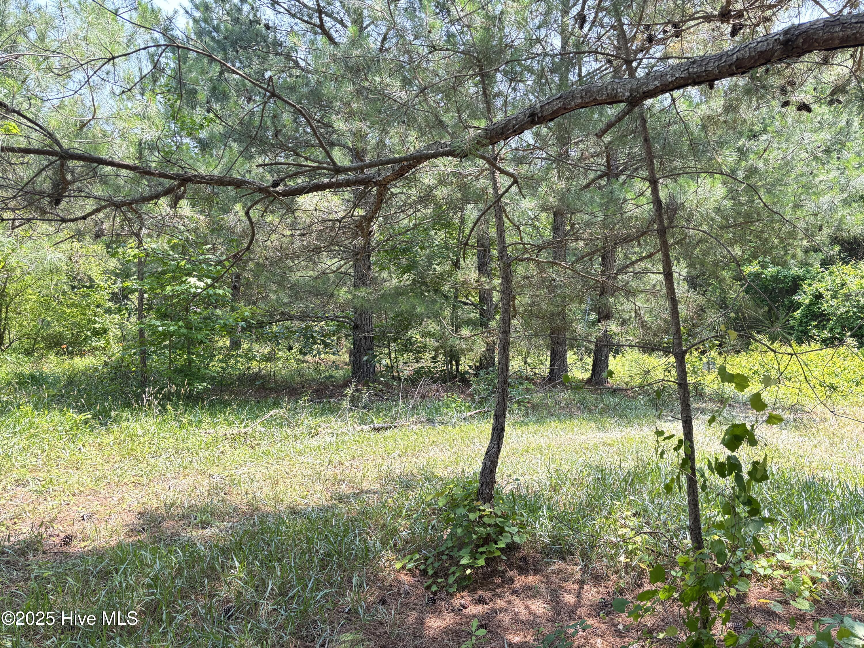 Lot 24 Buckhorn Church Road Property Photo 6