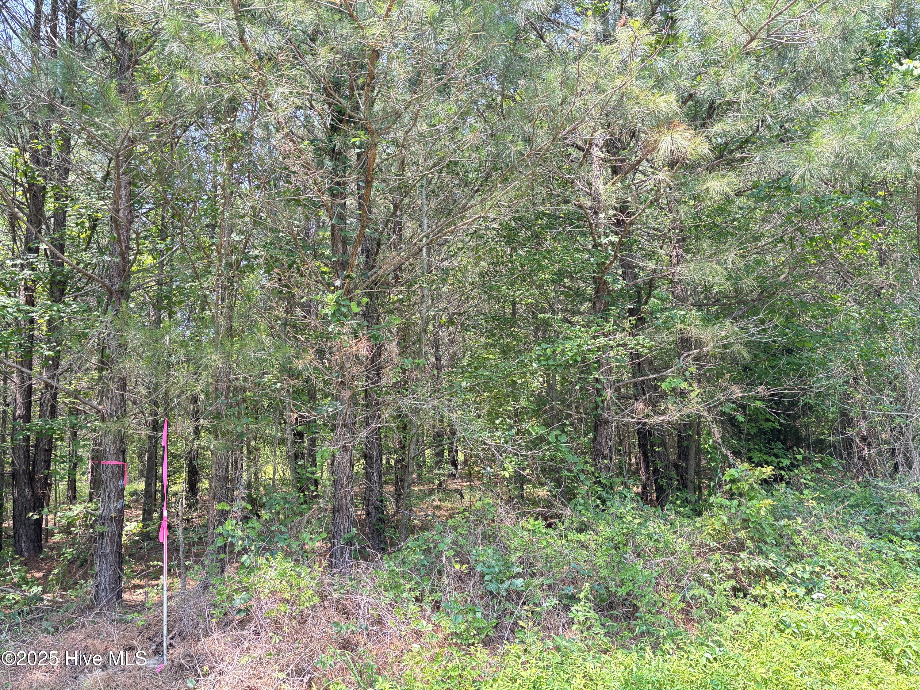 Lot 24 Buckhorn Church Road Property Photo 8