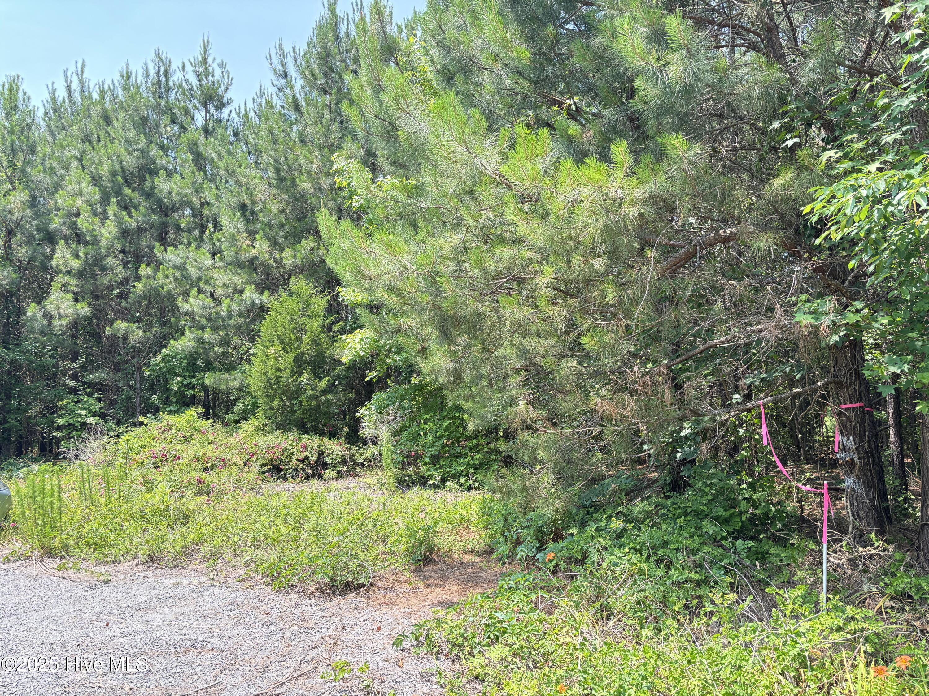 Lot 24 Buckhorn Church Road Property Photo 10